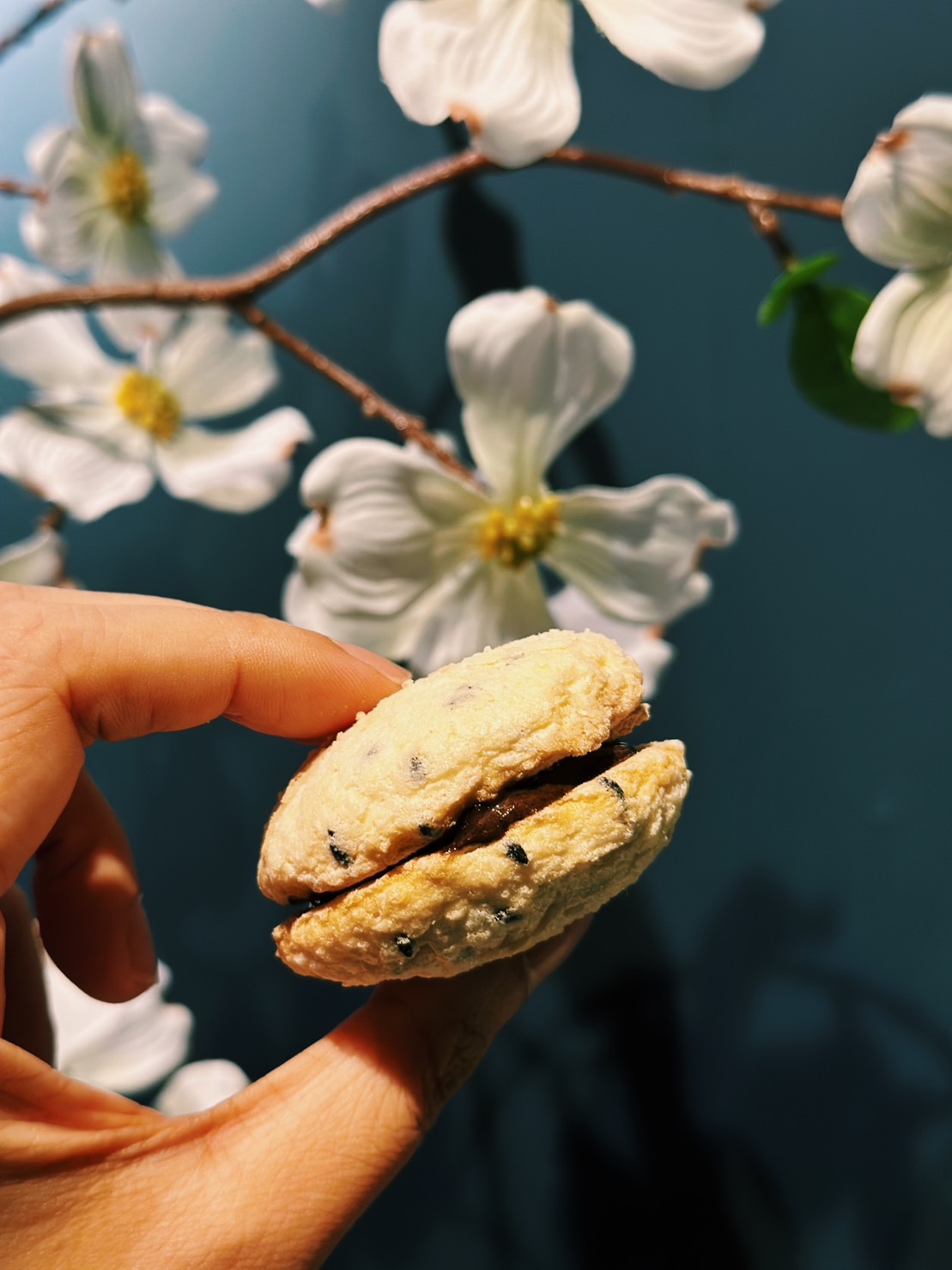 「芝麻夾心蛋糕」才吃一顆，就想敲碗求主廚出常態販售單品。