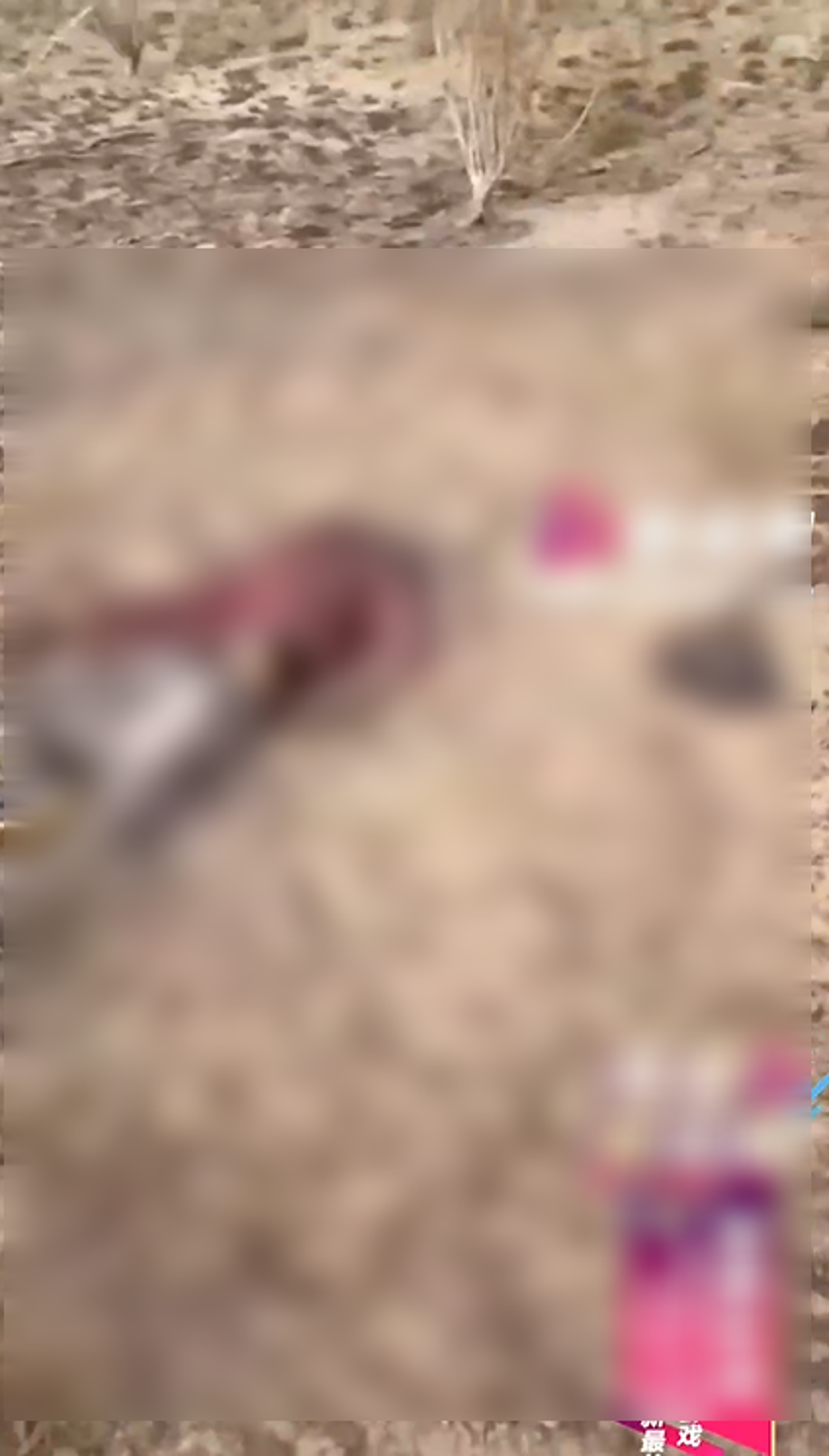 遺體都已呈現燒焦曬乾的恐怖狀態。（翻自微博+《51吃瓜網》）