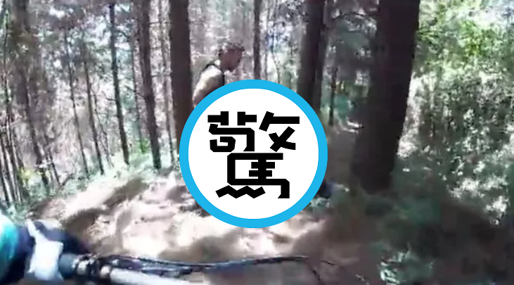 「車禍」無誤！他樹林中騎越野自行車，險撞上男女「騎車式」活春宮。（翻自《每日星報》）