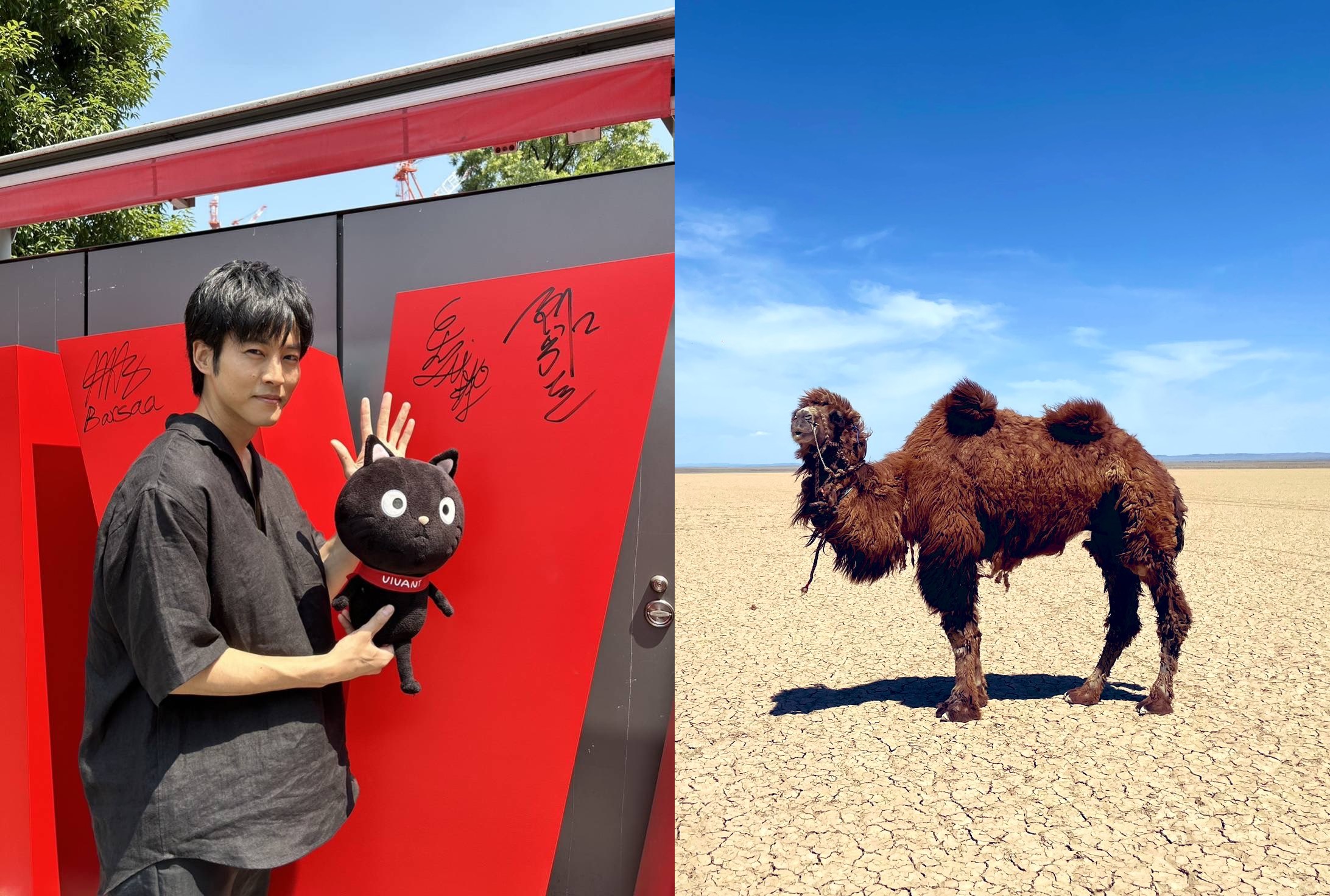 松坂桃李（左圖）是《VIVANT》的重要卡司之一，還參與了該劇的宣傳，但由於播三集都尚未出現，讓網友質疑他是替駱駝（右圖）配音的聲優。（左圖翻攝自松坂桃李官方Twitter，右圖翻攝自《VIVANT》官方Twitter）