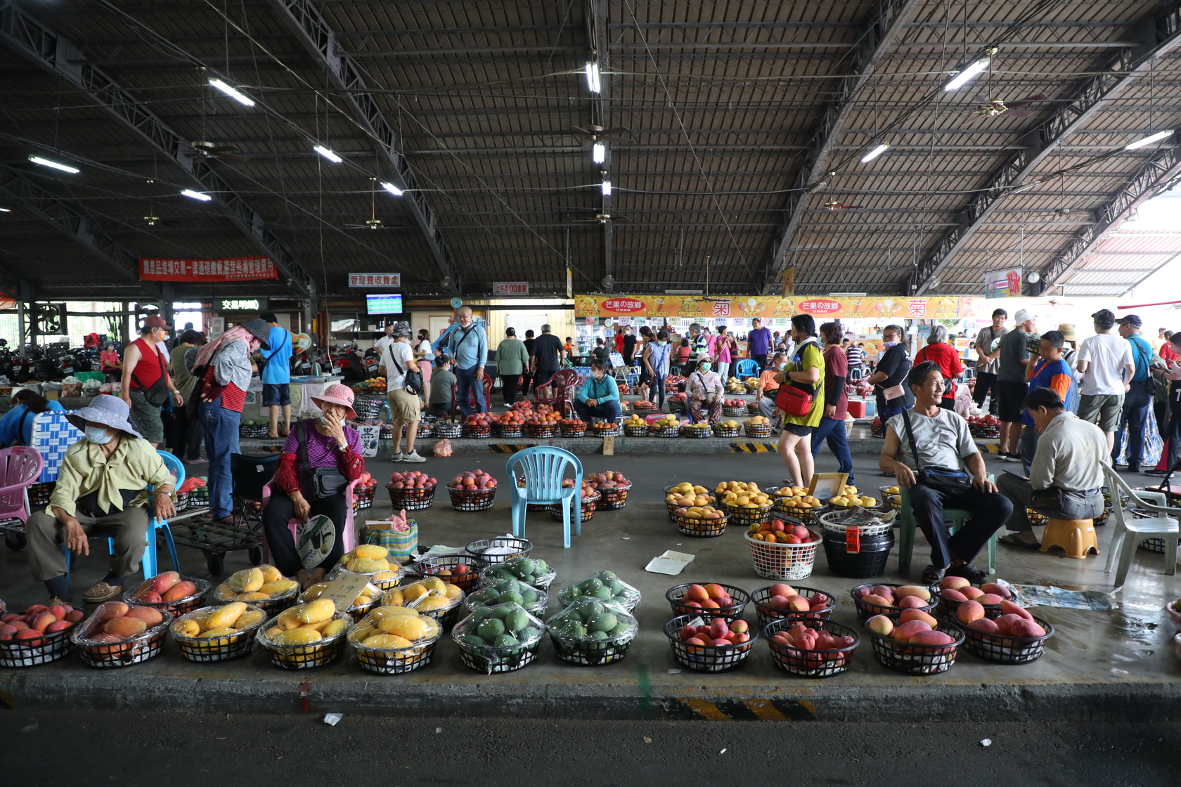 今年芒果產量盛，玉井隨處可看得到果農兜售芒果，「玉井區青果集貨場」的芒果品種更是琳瑯滿目。