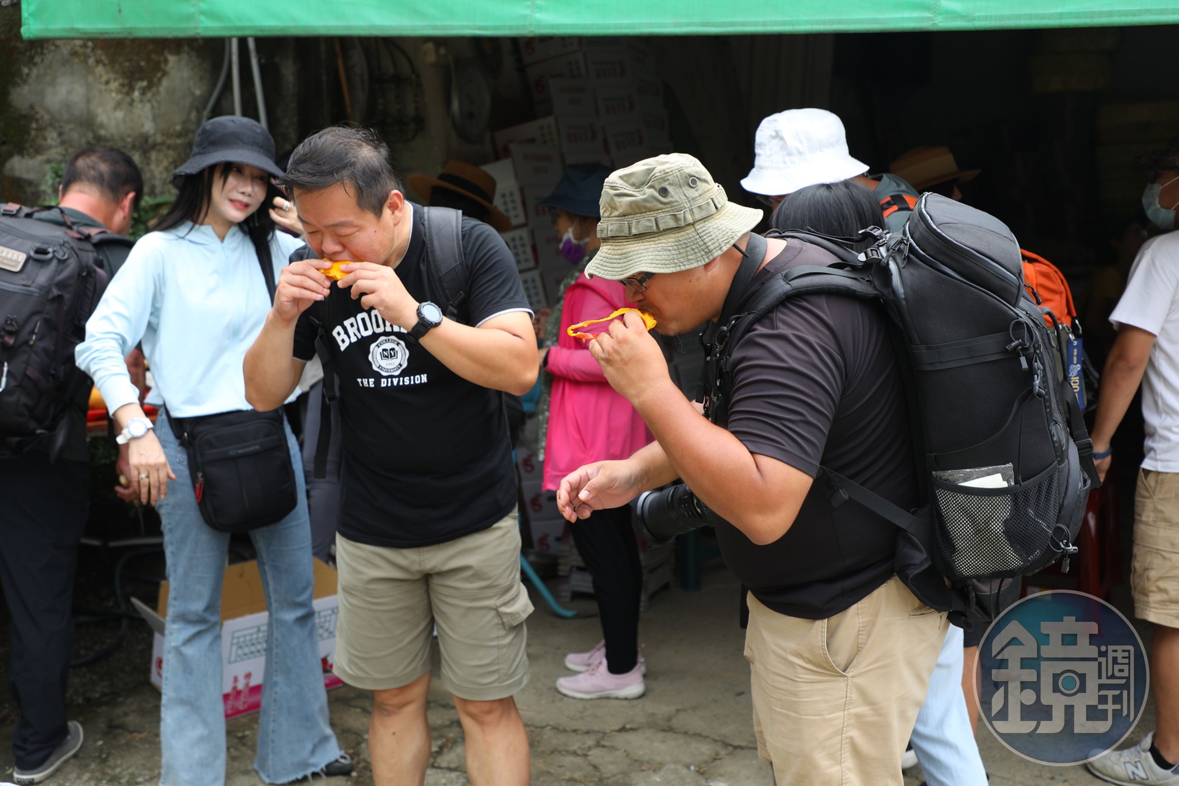 夏天正值芒果產季，在果園摘採完芒果便能直接享用。