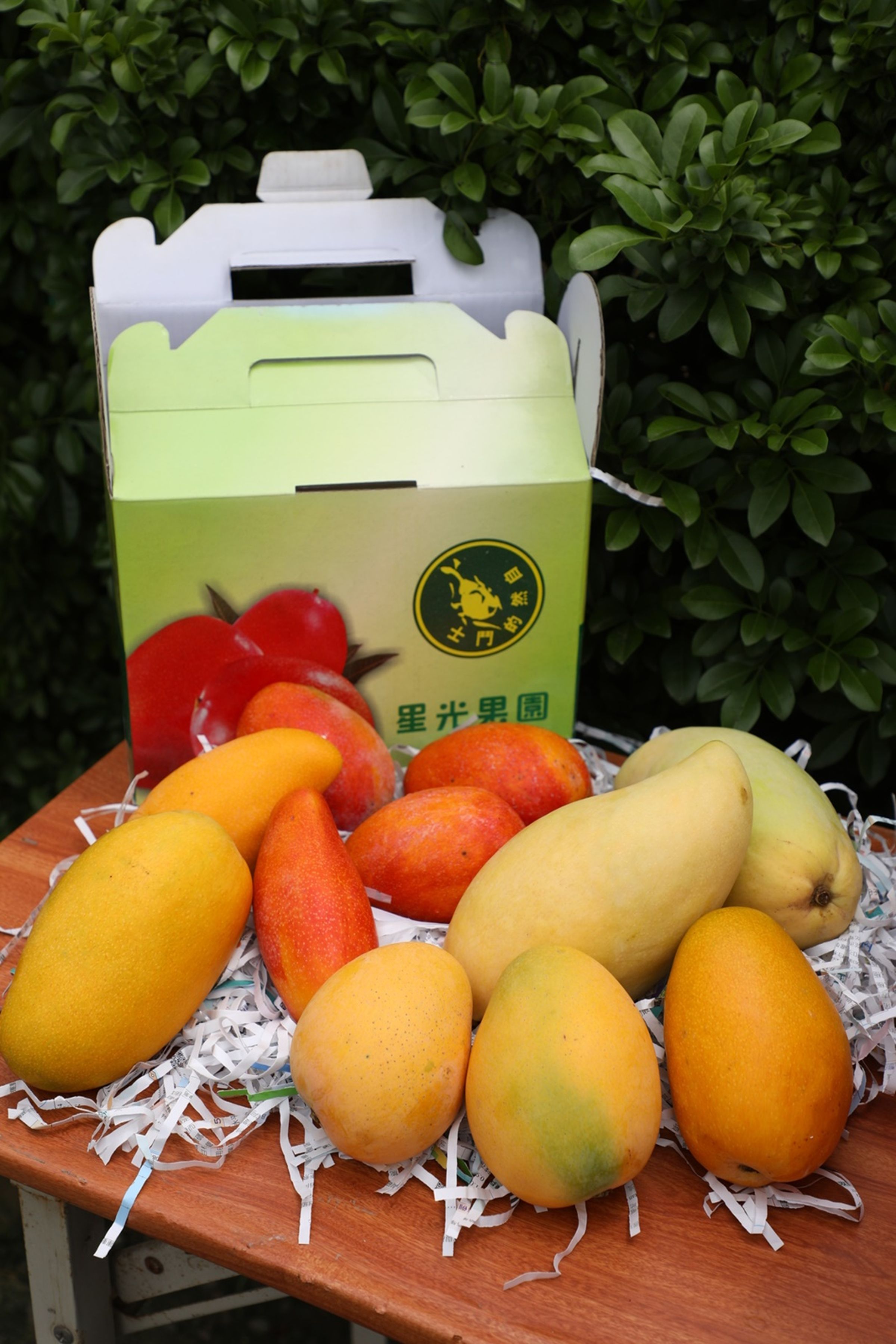 星光果園的芒果種類非常多，有超過8種芒果以及其他水果如荔枝。