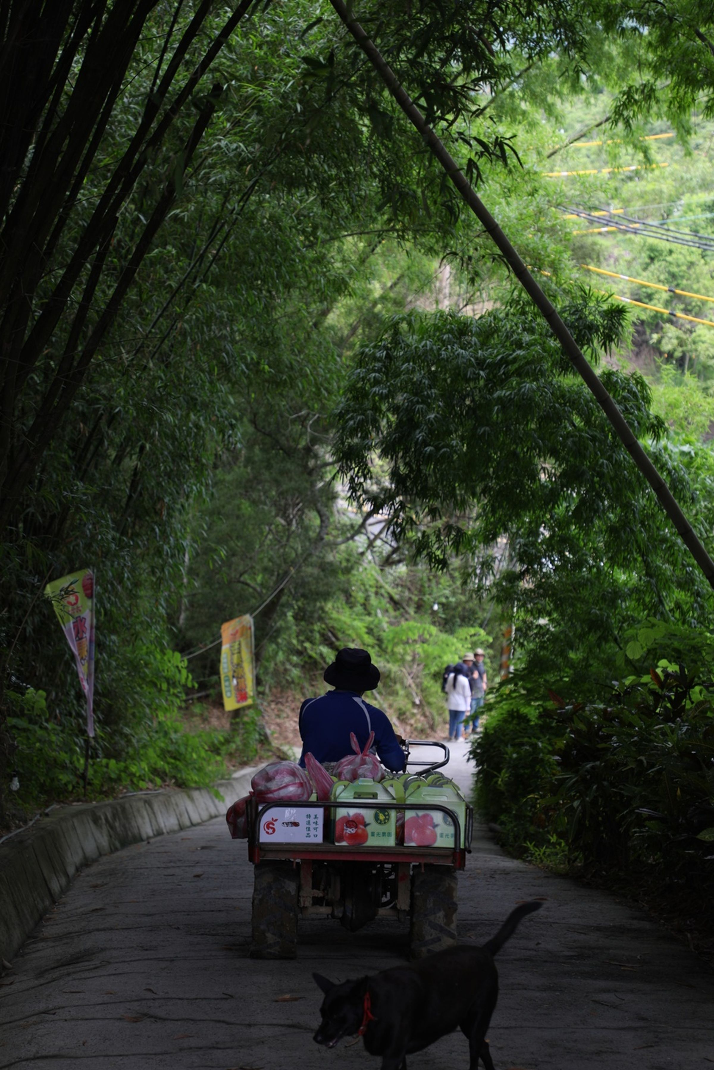 盛夏的時候，王世杰總是開車忙來忙去將芒果拿去義賣。
