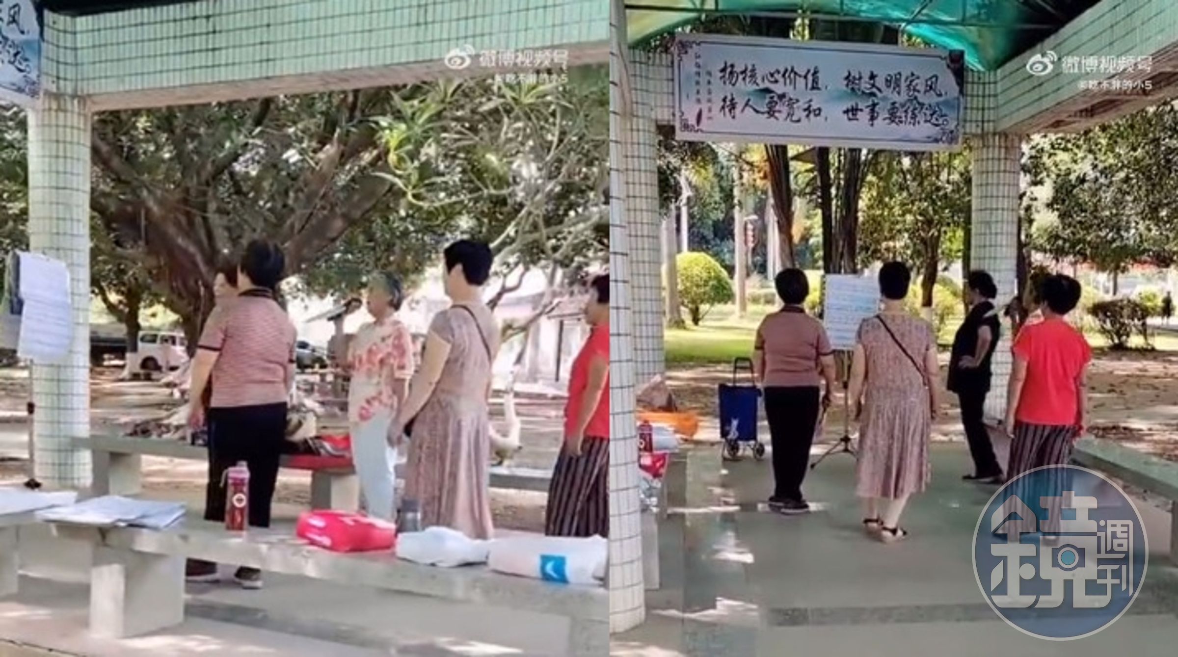 中國大媽在公園合唱經典歌曲〈菊花台〉,影片在網路爆紅。(翻攝微博)