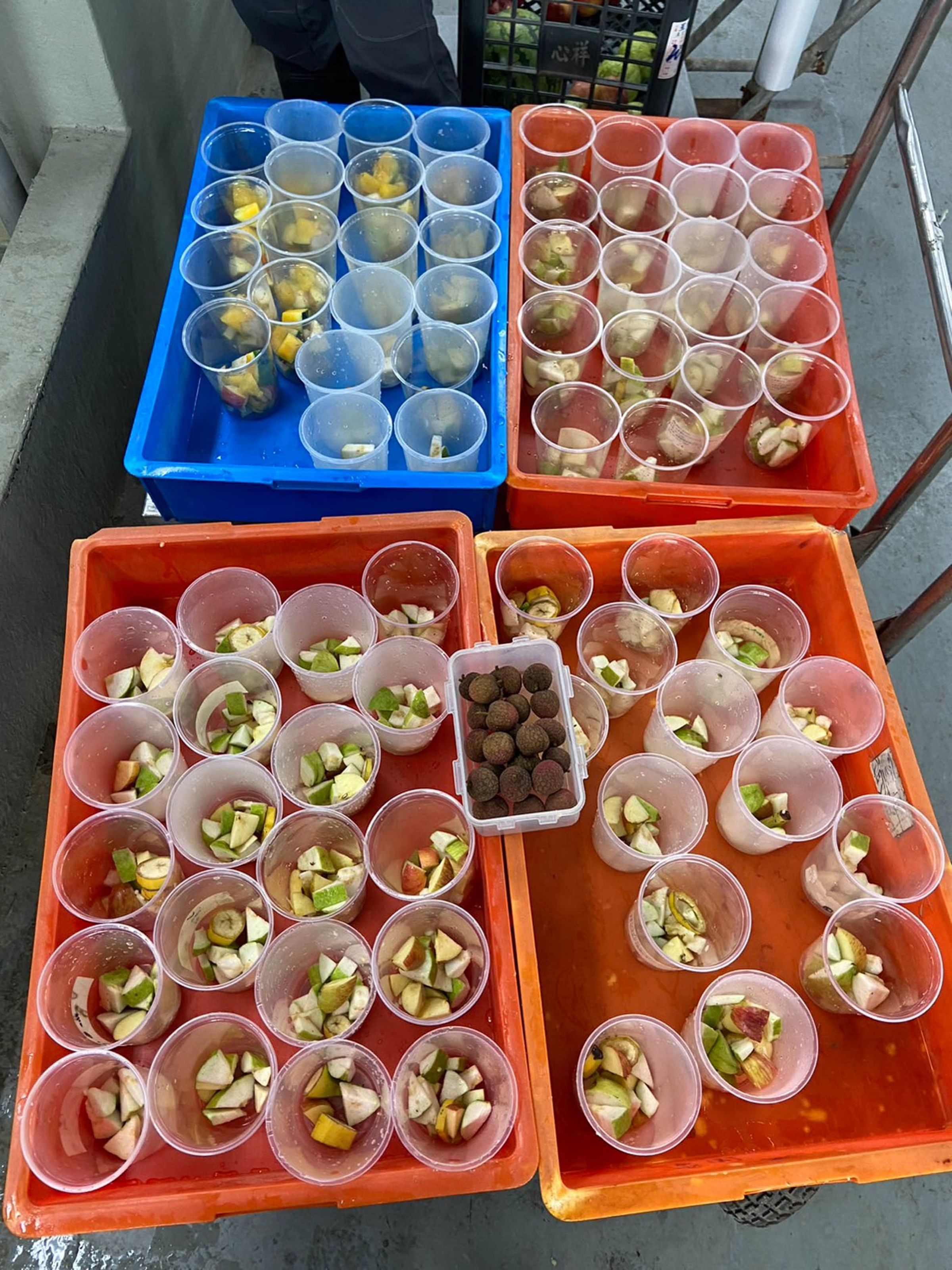 動物廚房在食物的挑選上也會以提供時令消暑食材來豐富動物們的生活。(台北市立動物園提供)