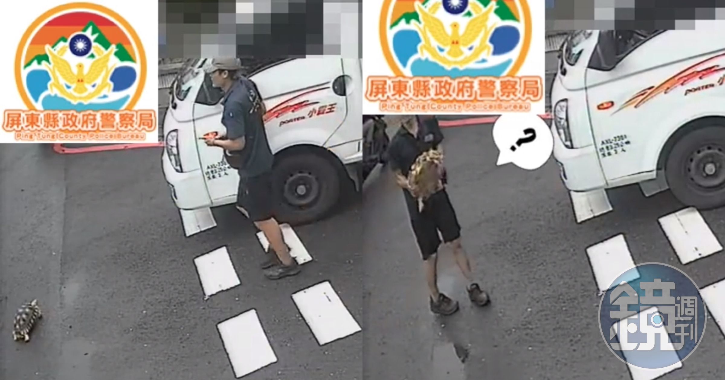 一隻蘇卡達象龜日前偷溜出門變三寶,遇到貨車司機載牠兜風。(翻攝自屏東縣政府警察局屏東分局臉書)