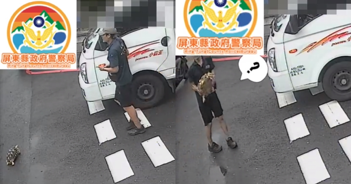 一隻蘇卡達象龜日前偷溜出門變三寶，遇到貨車司機載牠兜風。（翻攝自屏東縣政府警察局屏東分局臉書）
