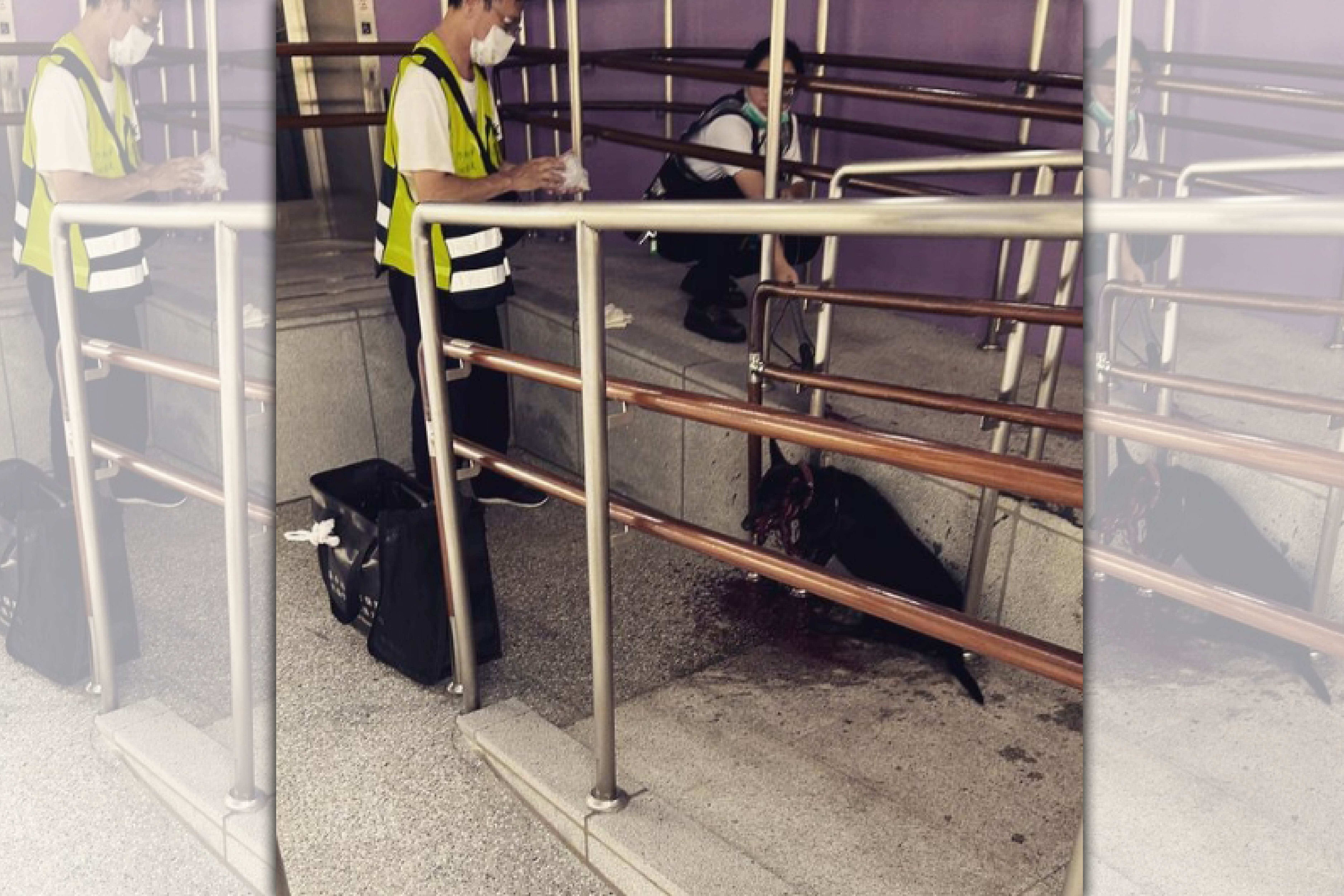 民眾6日經過台中捷運大慶站時，發現一隻黑狗渾身是傷躺在無障礙空間斜坡上，經搶救3天仍不幸死亡。（翻攝自羅廷瑋臉書）