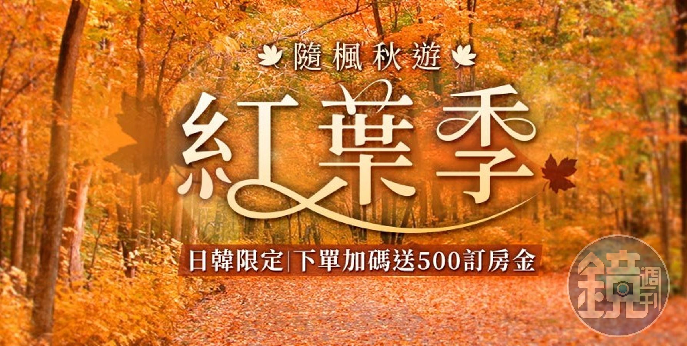 楓葉季雄獅旅遊推出「隨風秋遊楓葉季」限定日韓優惠。(旅行社提供)