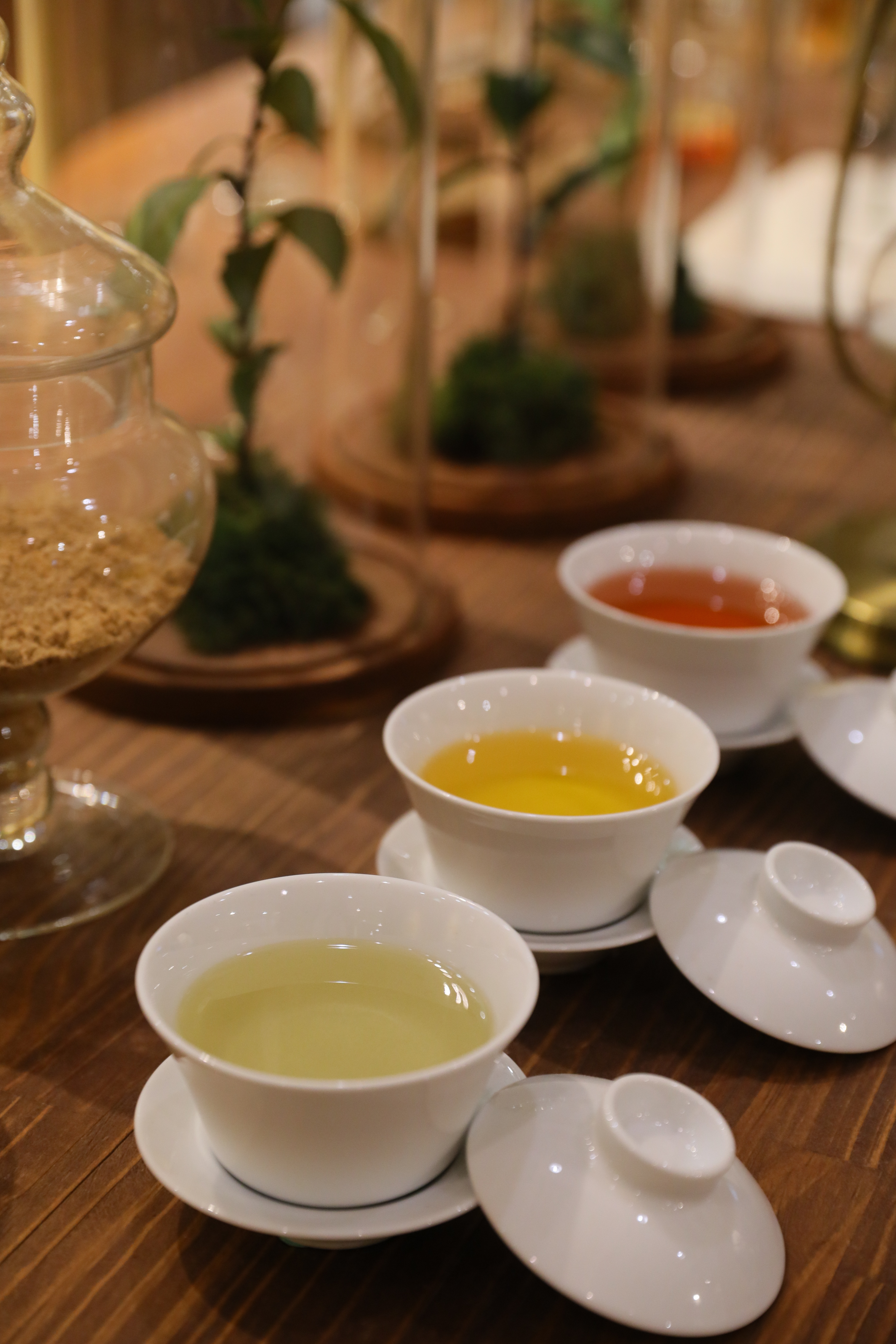 剛涉獵茶領域的人,可以從不同的色澤、氣味開始認識認識茶葉。