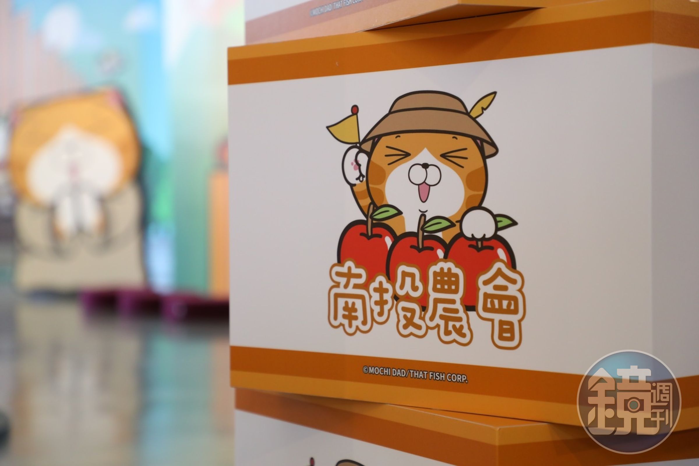 南投農會包裝紙箱換上「白爛貓」臉孔，購物慾好像也跟著提升了。（南投縣政府觀光處提供）