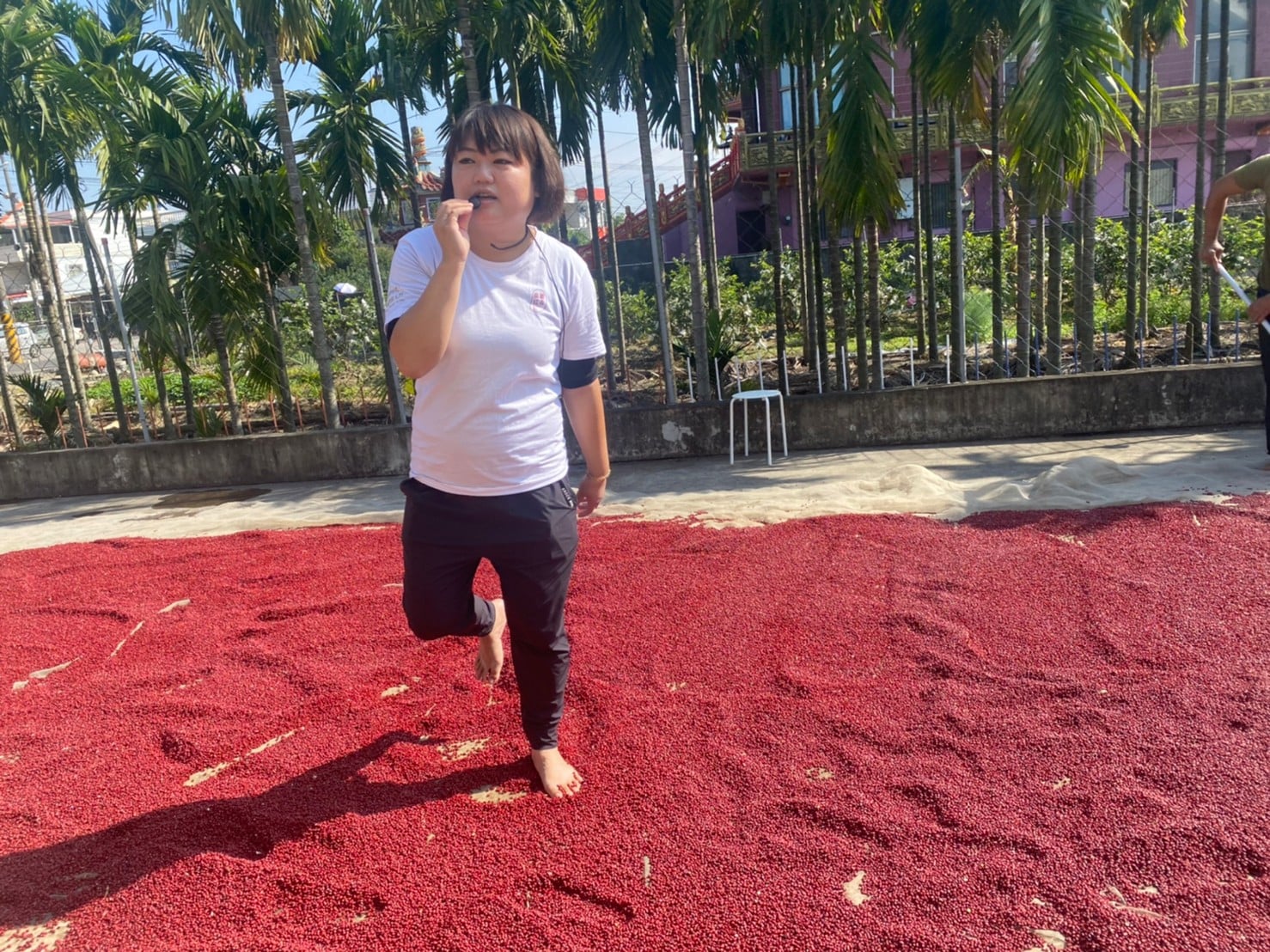 父親摔傷攤瘓，李育琳不得不辭去飯店主管工作，回鄉照顧爸爸，扛起家中「南國紅逗」生豆生意後，還創設了「紅妝逗囍」婚禮小物品牌。（南國紅逗提供）