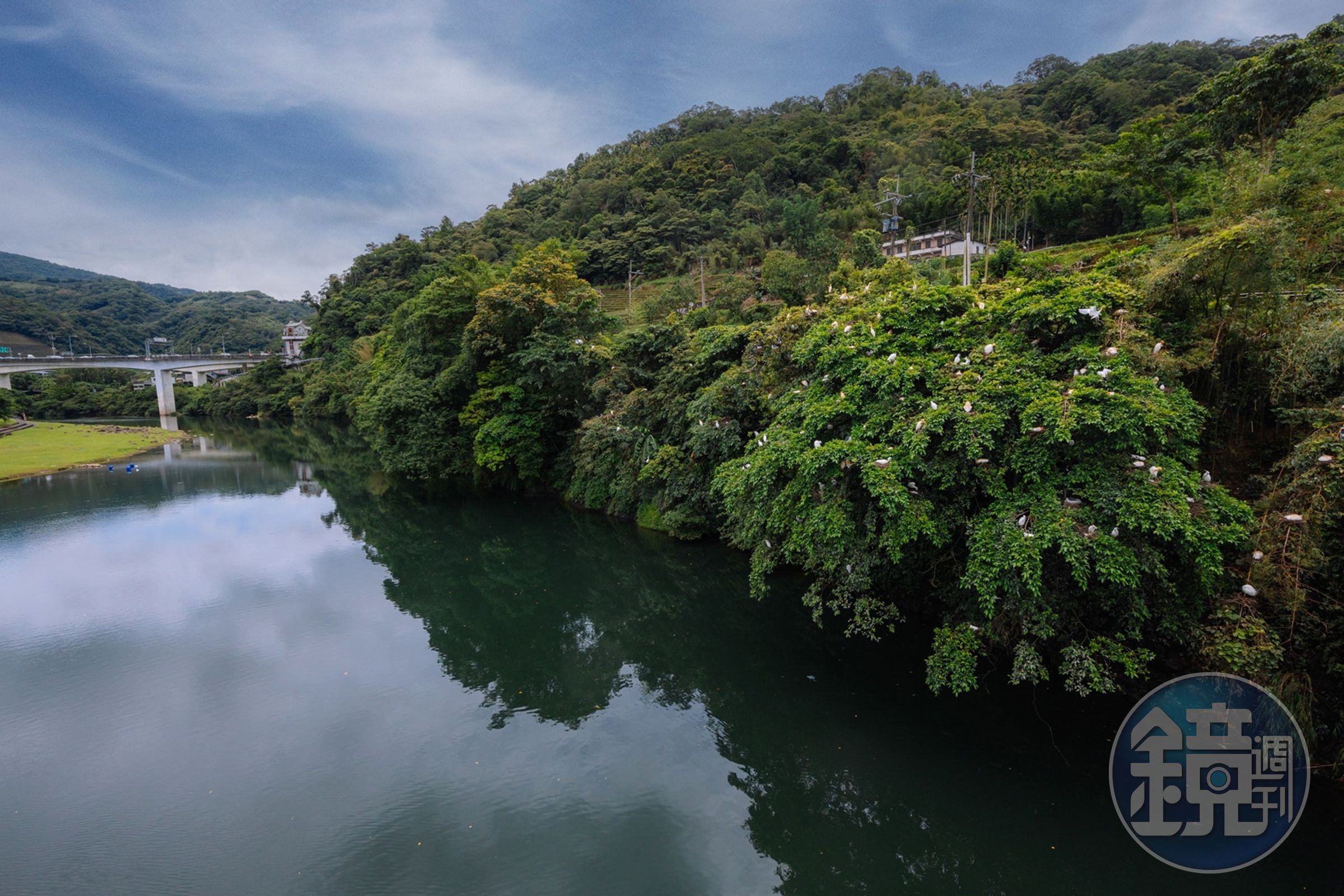坪林茶鄉是夏日消暑的好去處，春天開始還有白鷺鷥公寓的奇景可賞。