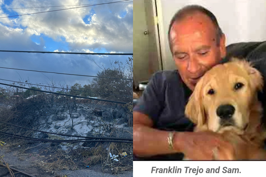 夏威夷茂宜島的拉海納野火奪走93條人命，多處民房遭燒毀，特雷霍斯（右圖）生前仍試圖保護好友的黃金獵犬。（翻攝自@Kazamimusic Twitter、Maui Fires Pets Help Group臉書）