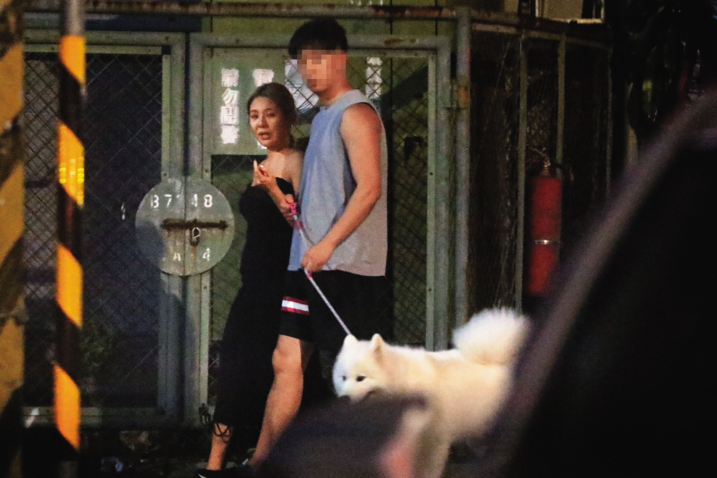 去年11月，本刊直擊女鮪魚（左）身邊出現遛狗嫩男（右），但兩人無疾而終。