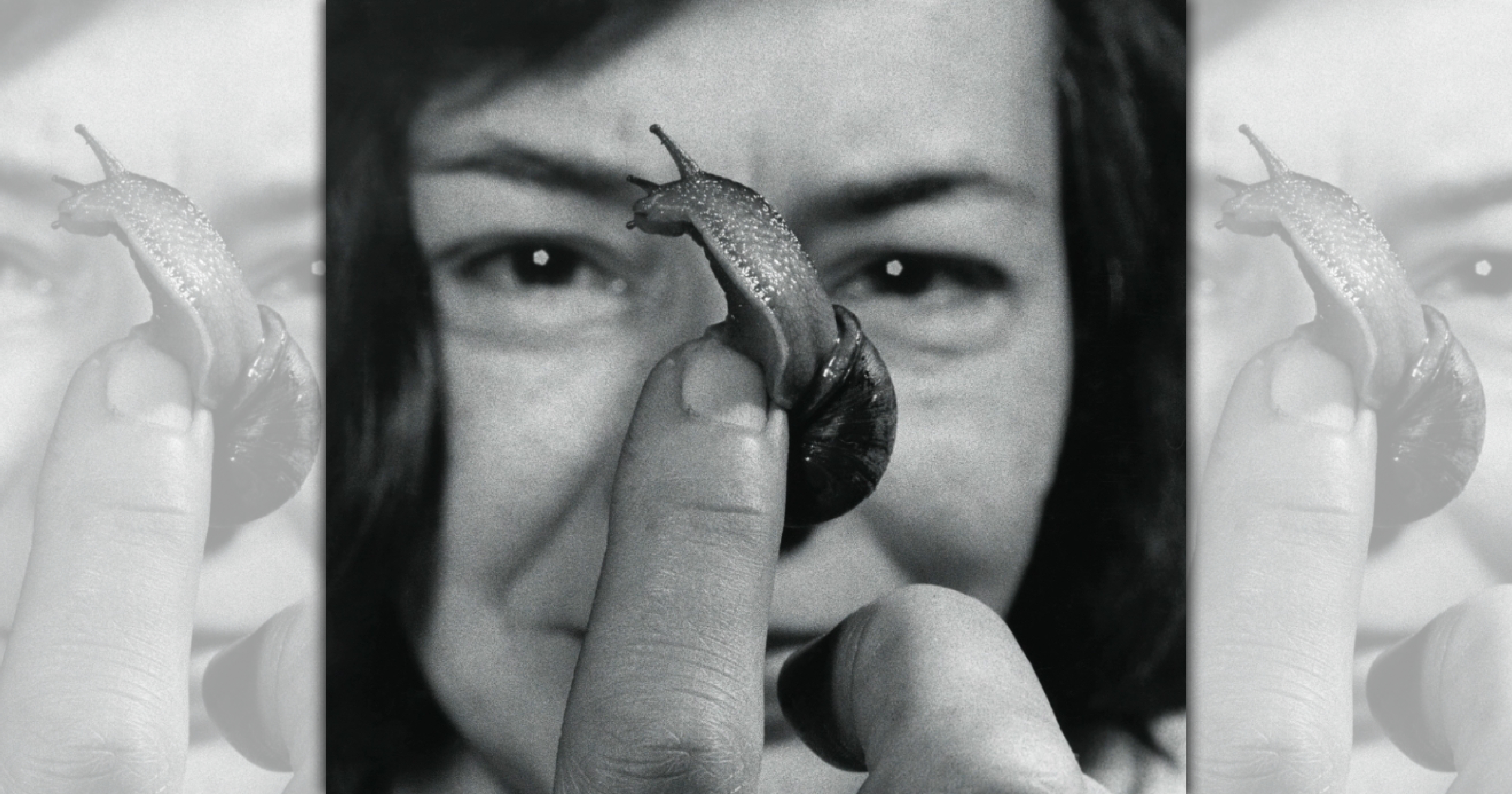 海史密斯特別欣賞蝸牛， 曾把數十隻蝸牛塞進內衣裡偷渡出國。（目宿媒體提供）