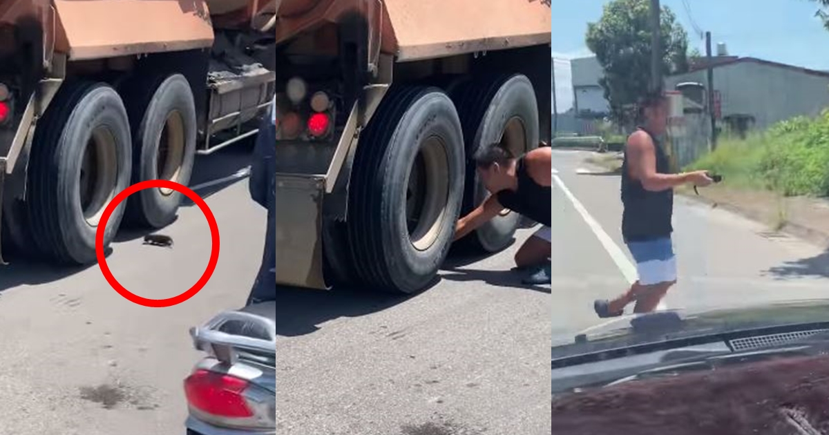 穿著背心的大哥不顧自身危險，手伸進車輪中救小奶貓。（翻攝自有點毛毛的臉書）