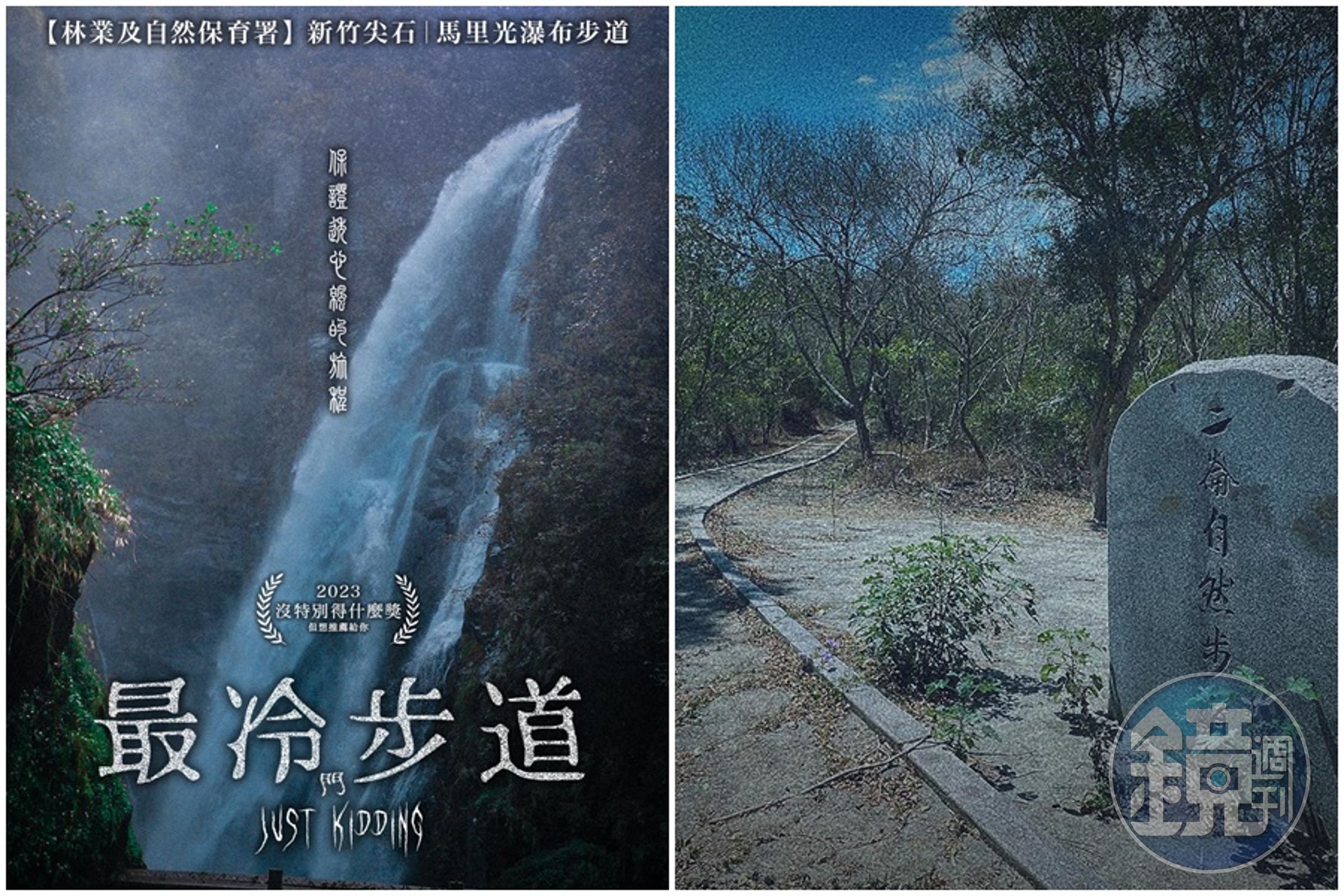 林業及自然保育署在臉書推薦4條冷門步道,供民眾上山避暑享受沁涼與清幽。(翻攝自林業及自然保育署臉書)