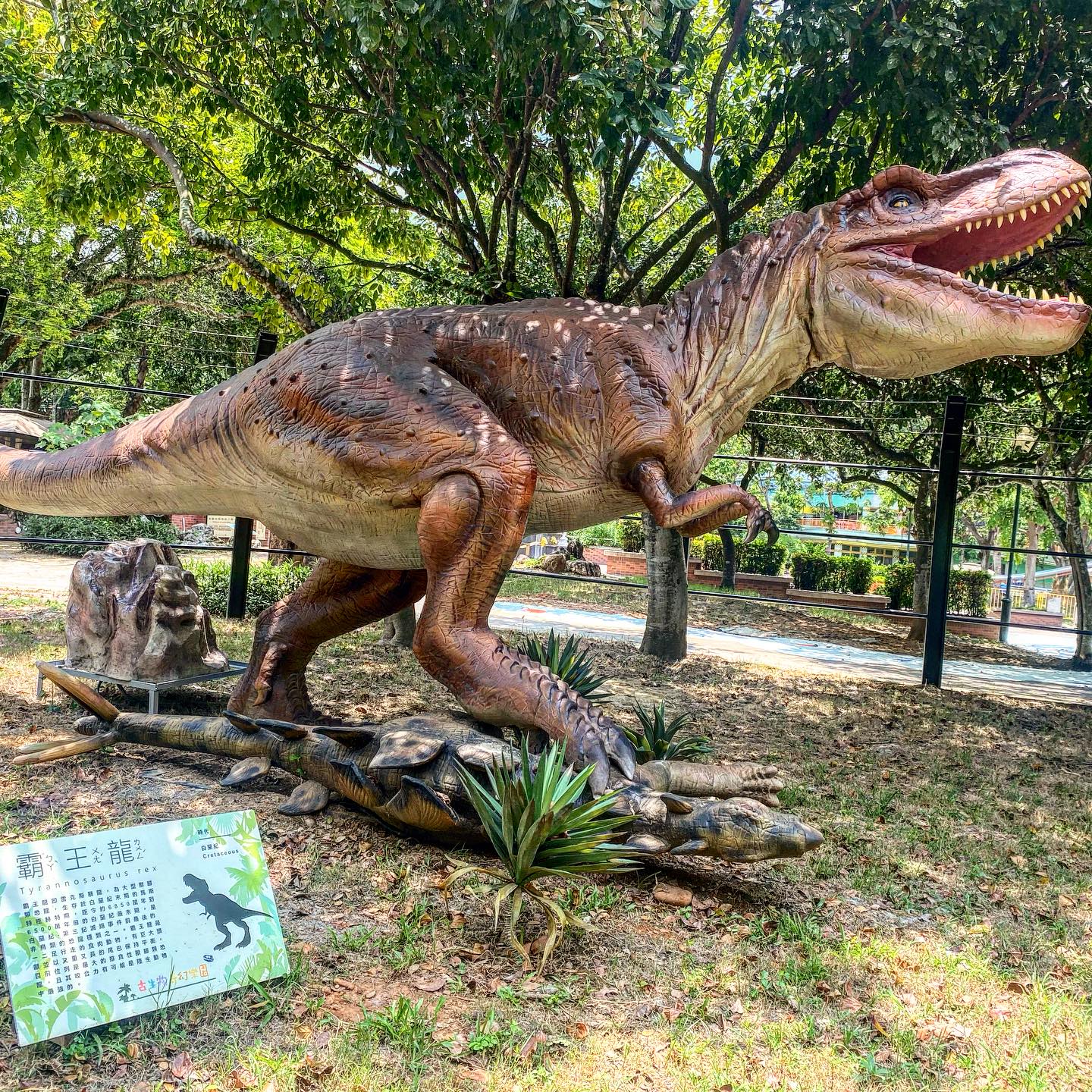 「古生物奇幻樂園」能拍出搞怪感的網美照。