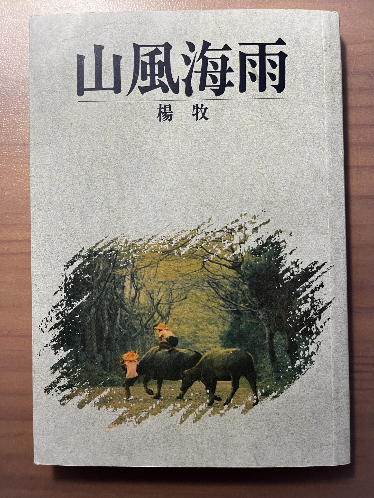 《OKEN:詩的端倪》改編自楊牧自傳散文集《山風海雨》。(翻攝自吳識鴻臉書)