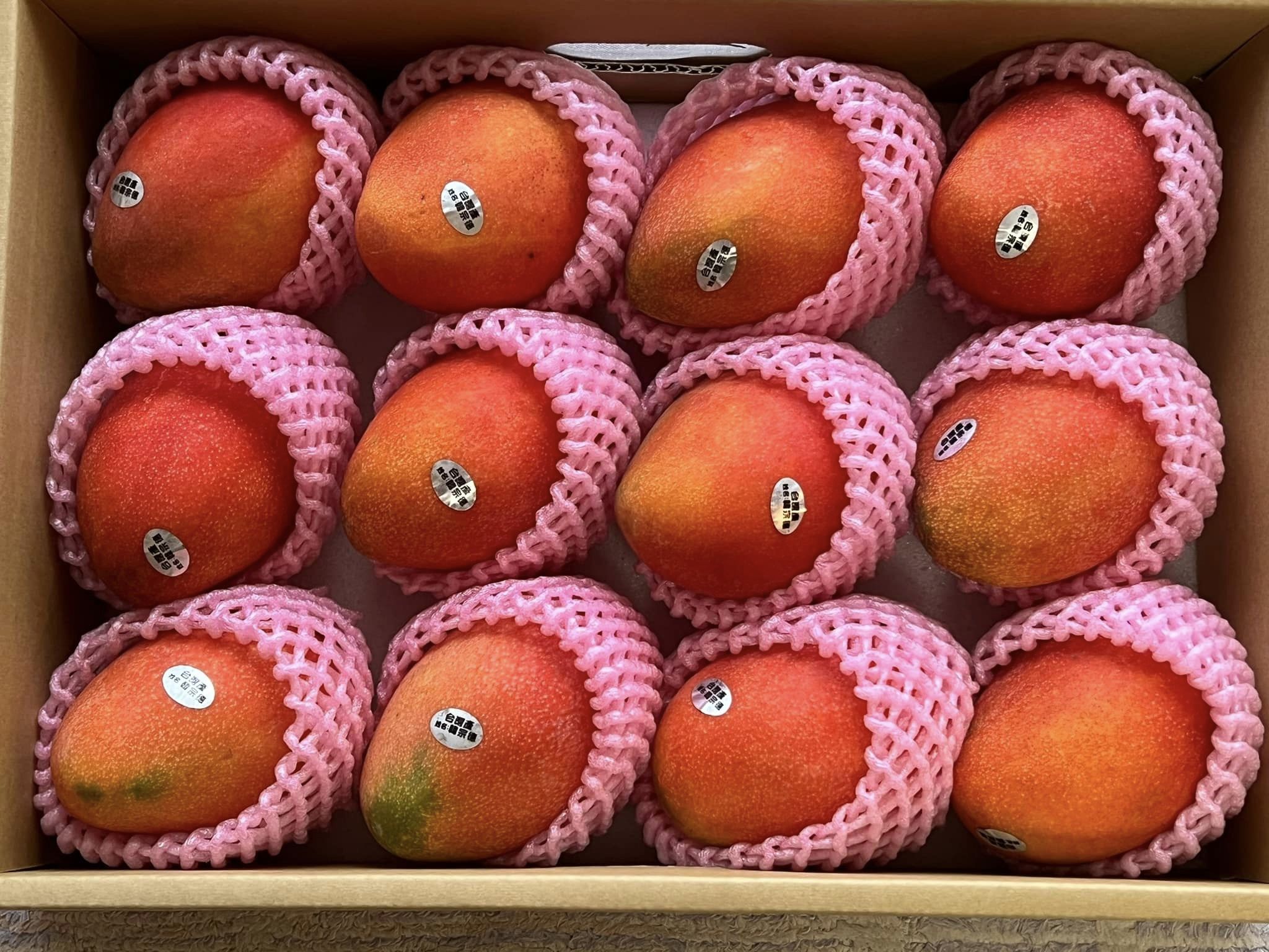 中國宣布「即日起暫停台灣芒果輸陸」，稱台芒果長蟲蟲：截獲有害生物。（翻自小笠原欣幸臉書）