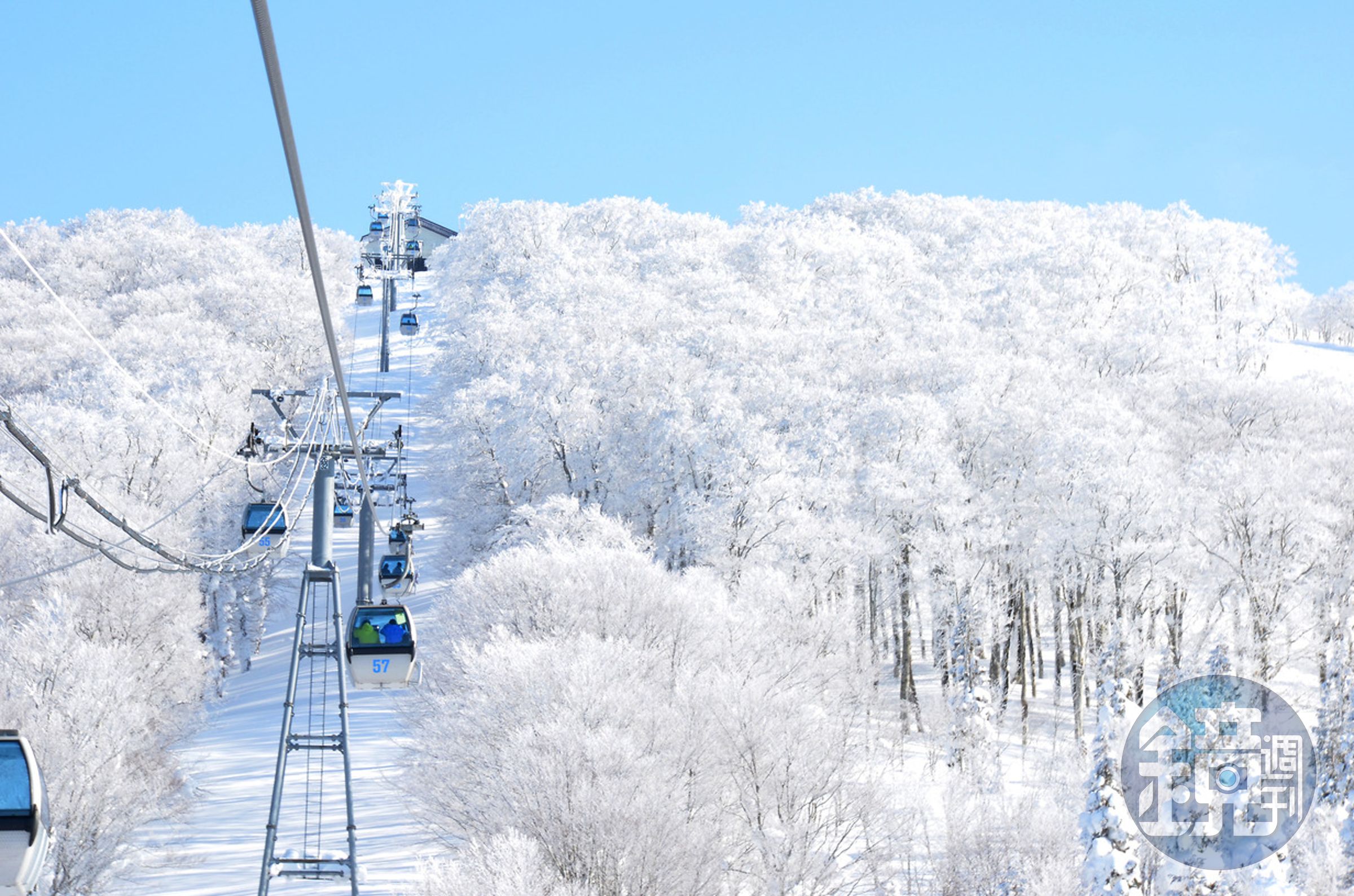 自然形成的森吉山樹冰。（燦星旅遊提供）