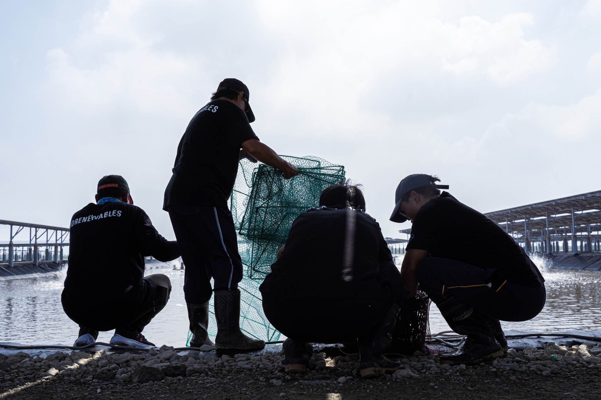 從蝦苗放入魚塭、到白蝦能進行網捕收成,約莫要120天的時間。(翻攝自星源漁業臉書)