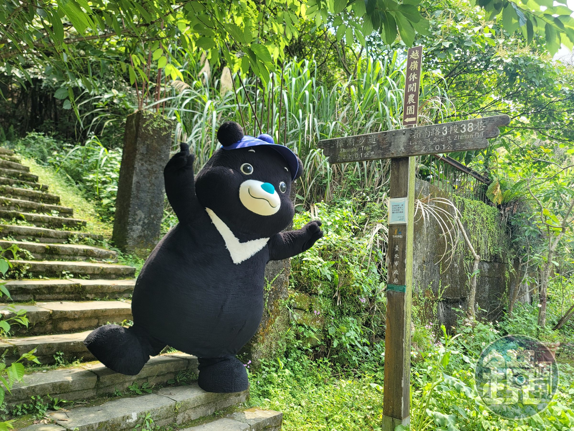 貓空這次列入第2波任務地區,只要完成指定任務後上傳照片,即可抽台北城市紀念品。(台北市觀傳局提供)