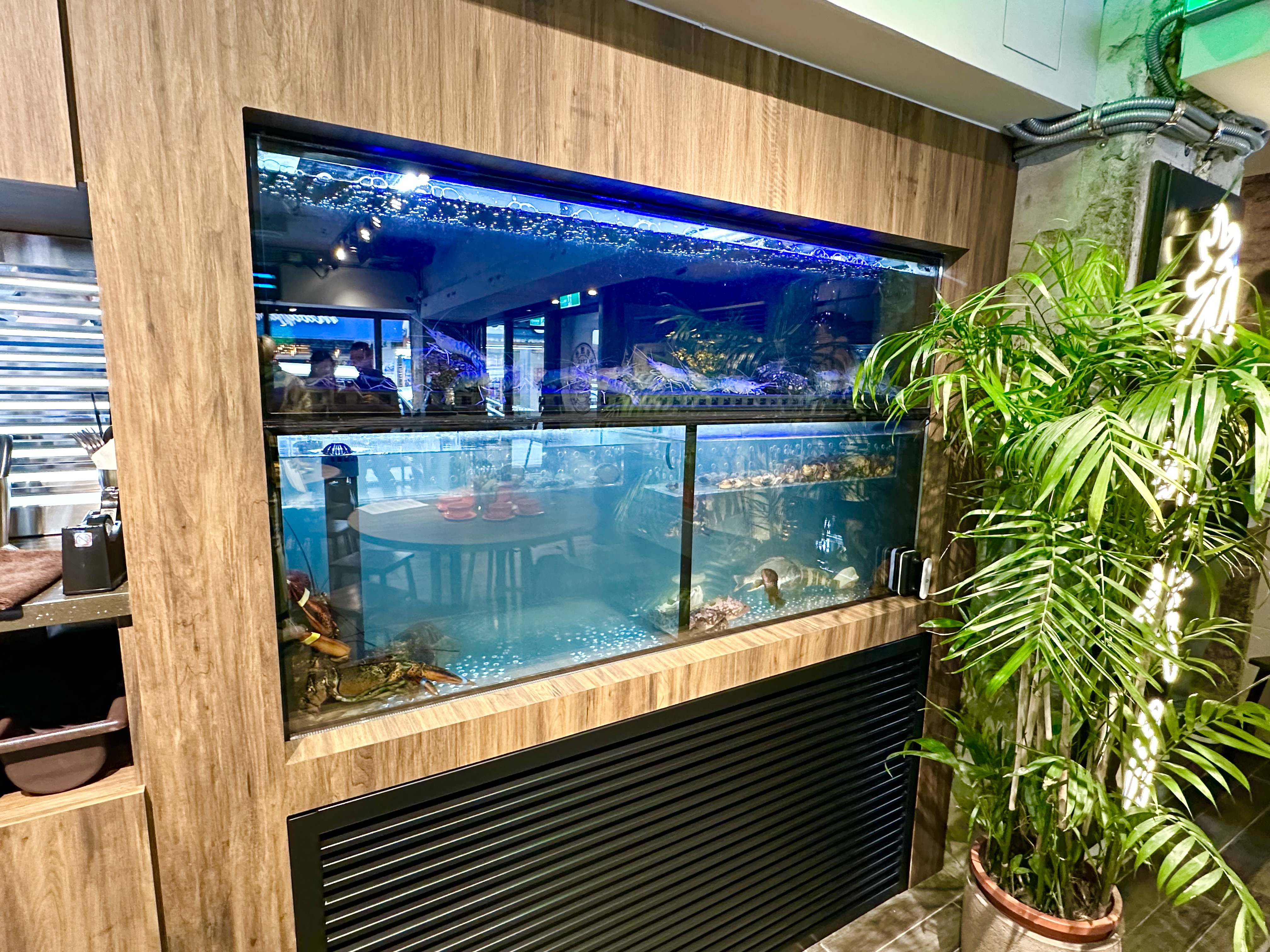 水族箱裡養著台灣時令或進口海鮮，像是「波士頓龍蝦撈麵」就用活龍蝦製作。