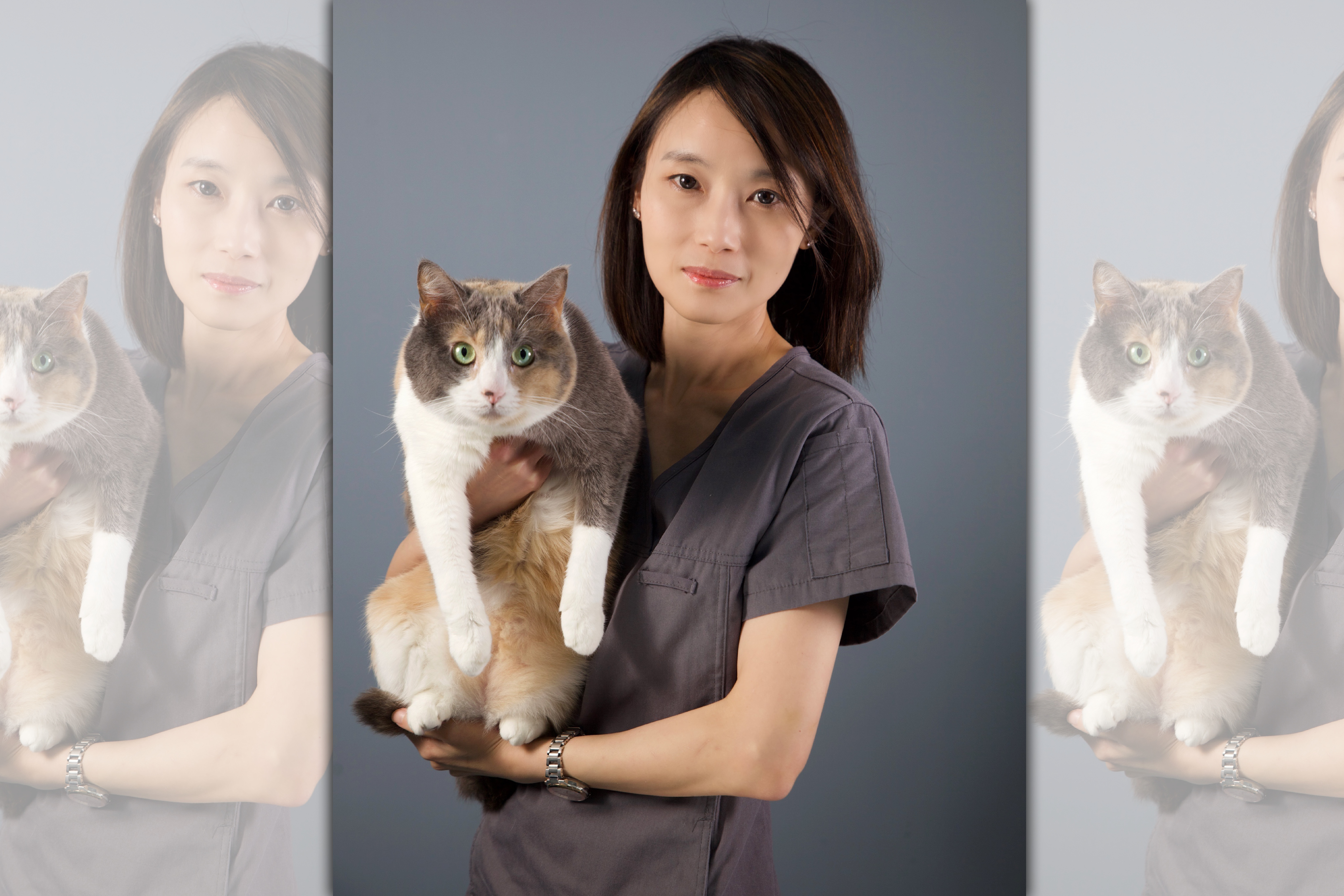 貓專科獸師郭嵐忻說，貓科動物特別會隱藏⾃⼰的不舒服與疼痛，飼主必須定期健檢。（小王子動物醫院提供）