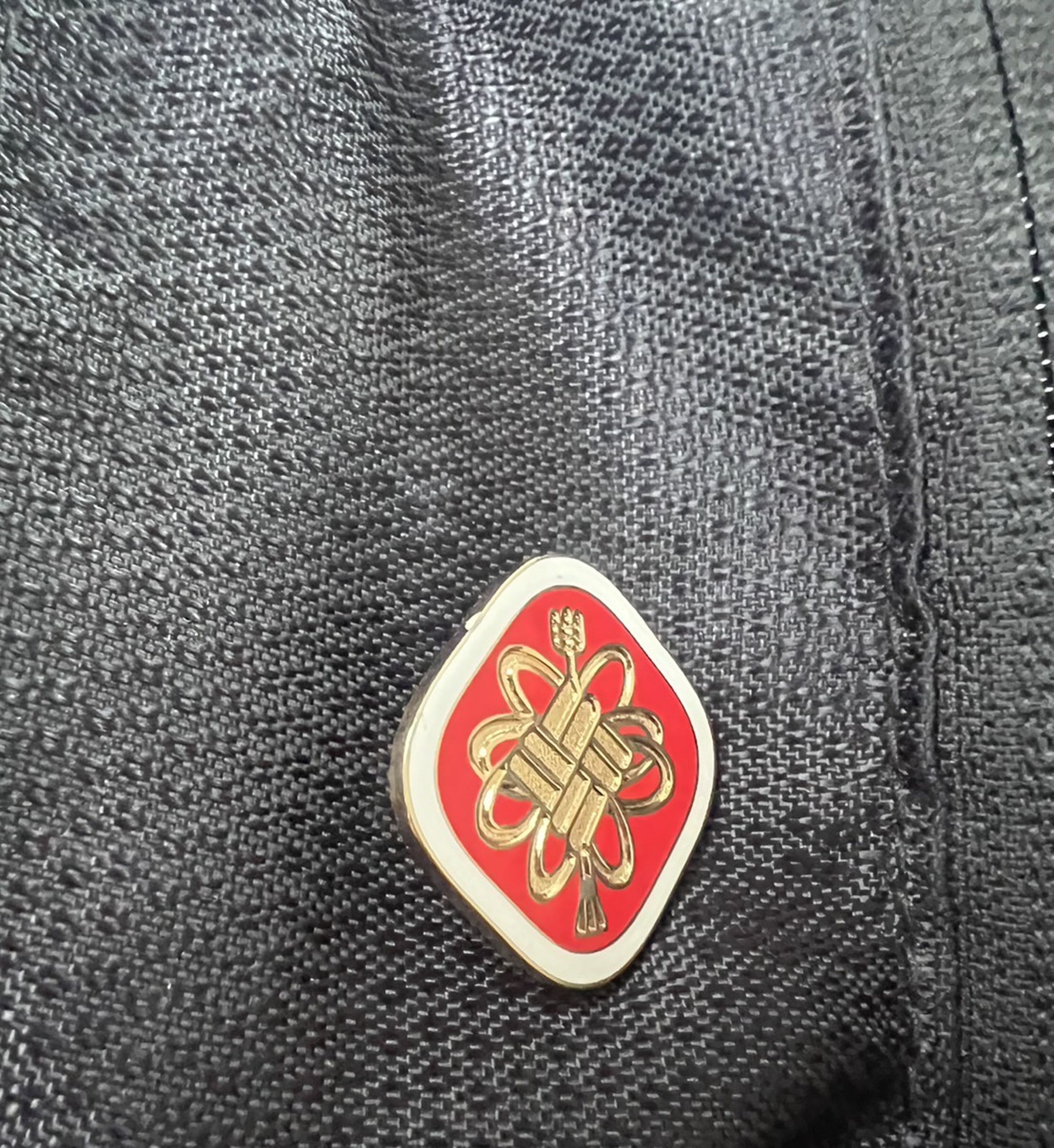 蔣萬安率團的主團成員,包括局處長、市議員等人,不少人身上都被別上1枚紅色底、金色LOGO的徽章。