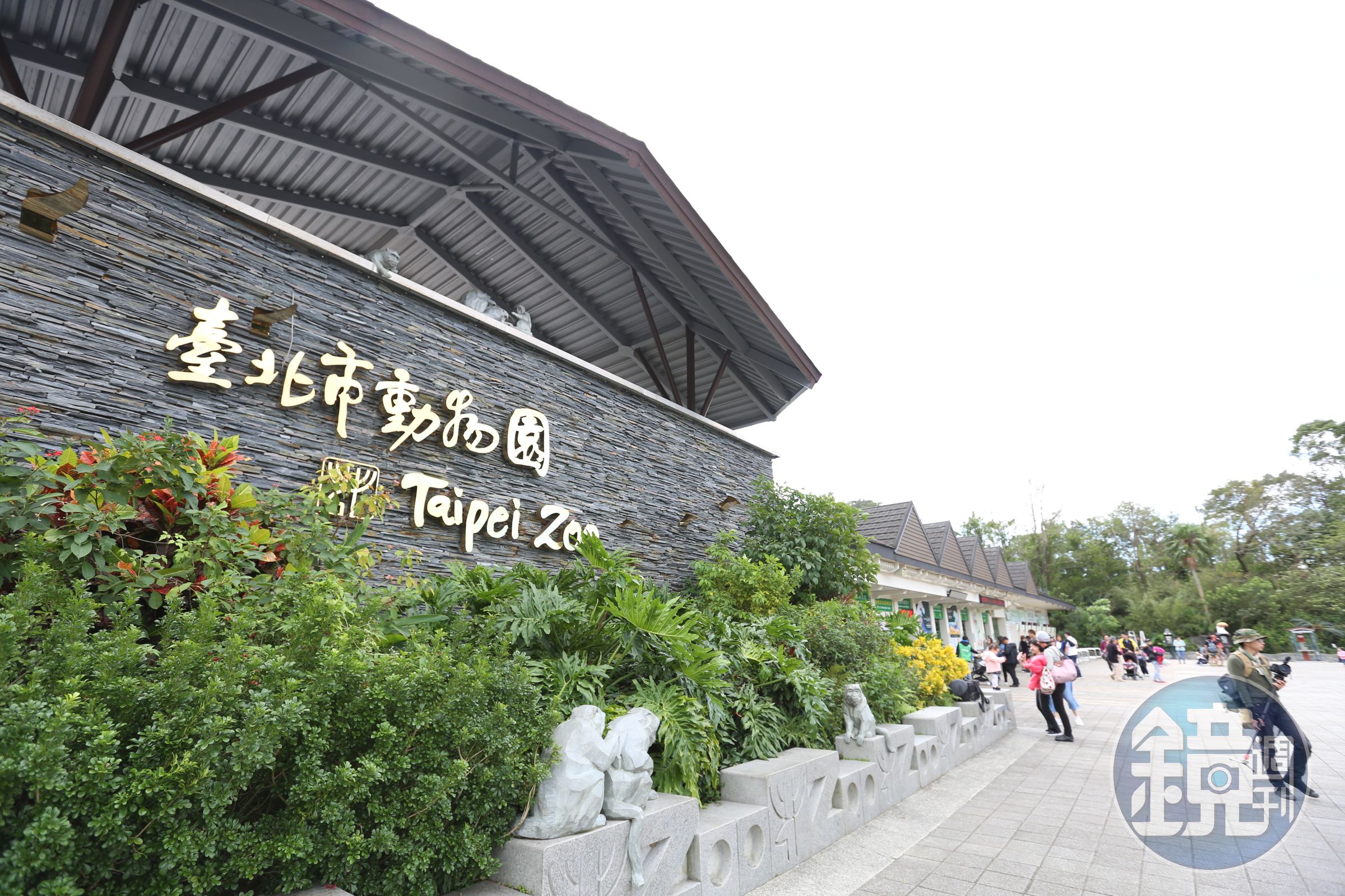 台北市立動物園門票將從今(2月1日)起調漲。