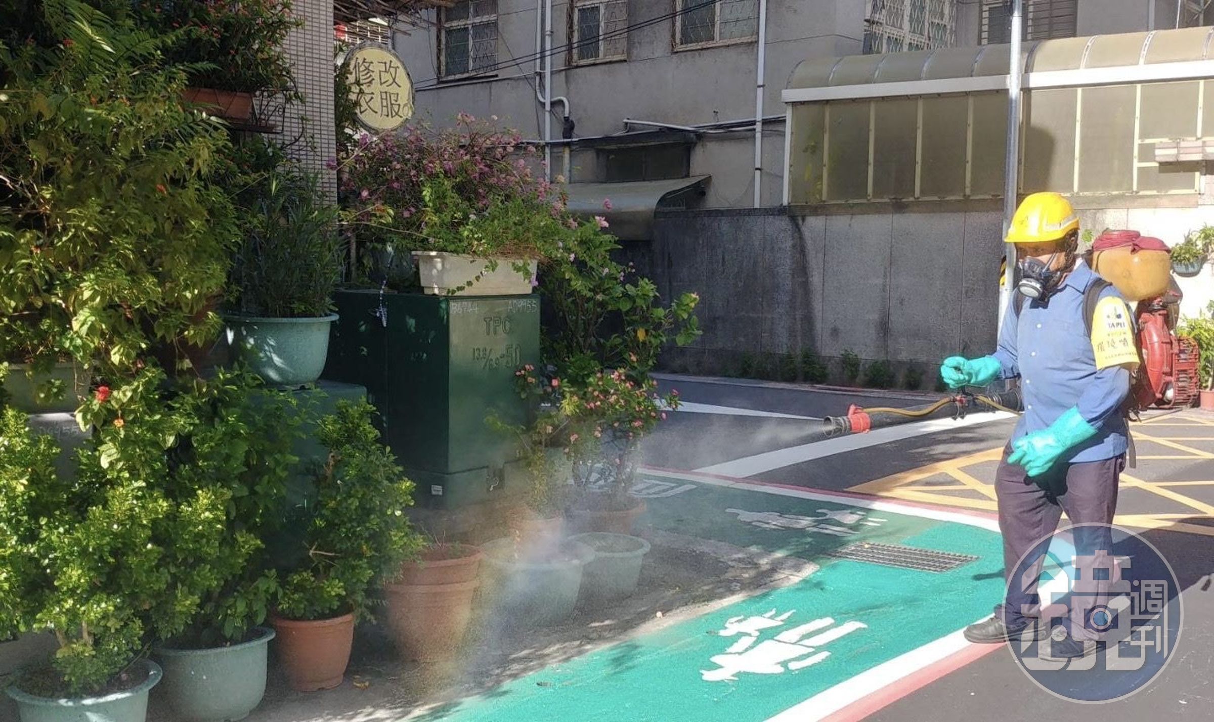 台北市中山區出現一例登革熱本土病例。(台北市衛生局提供)