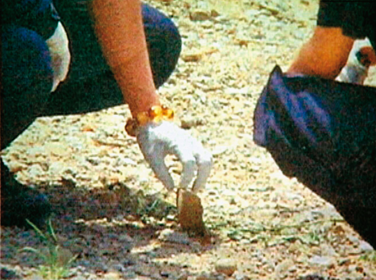 警方在現場採證到有血掌印的鵝卵石，最後成為翻案關鍵。（東森新聞提供）