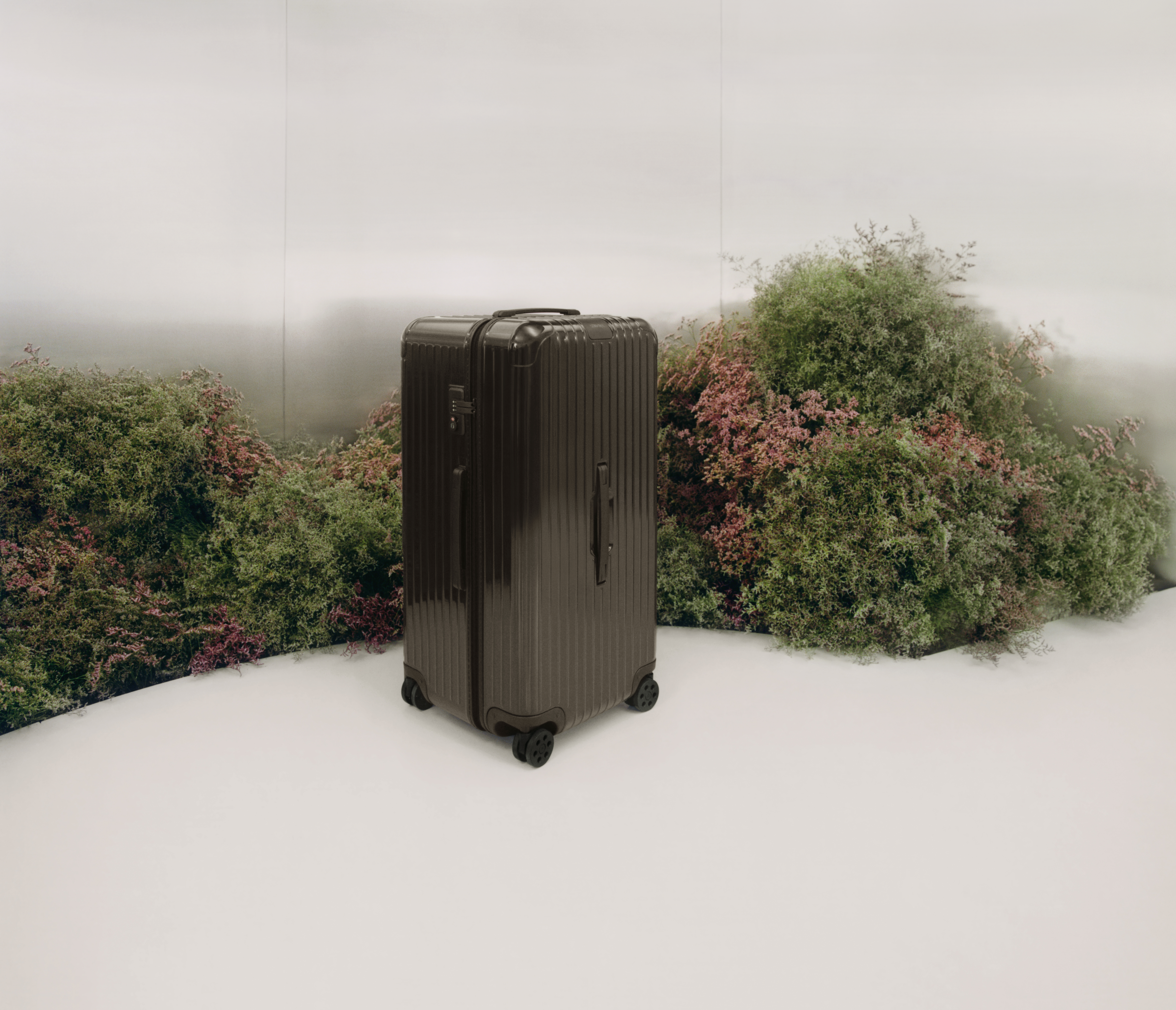Essential Trunk Plus Cedar雪松木行李箱。NT$48,400（美之心提供）