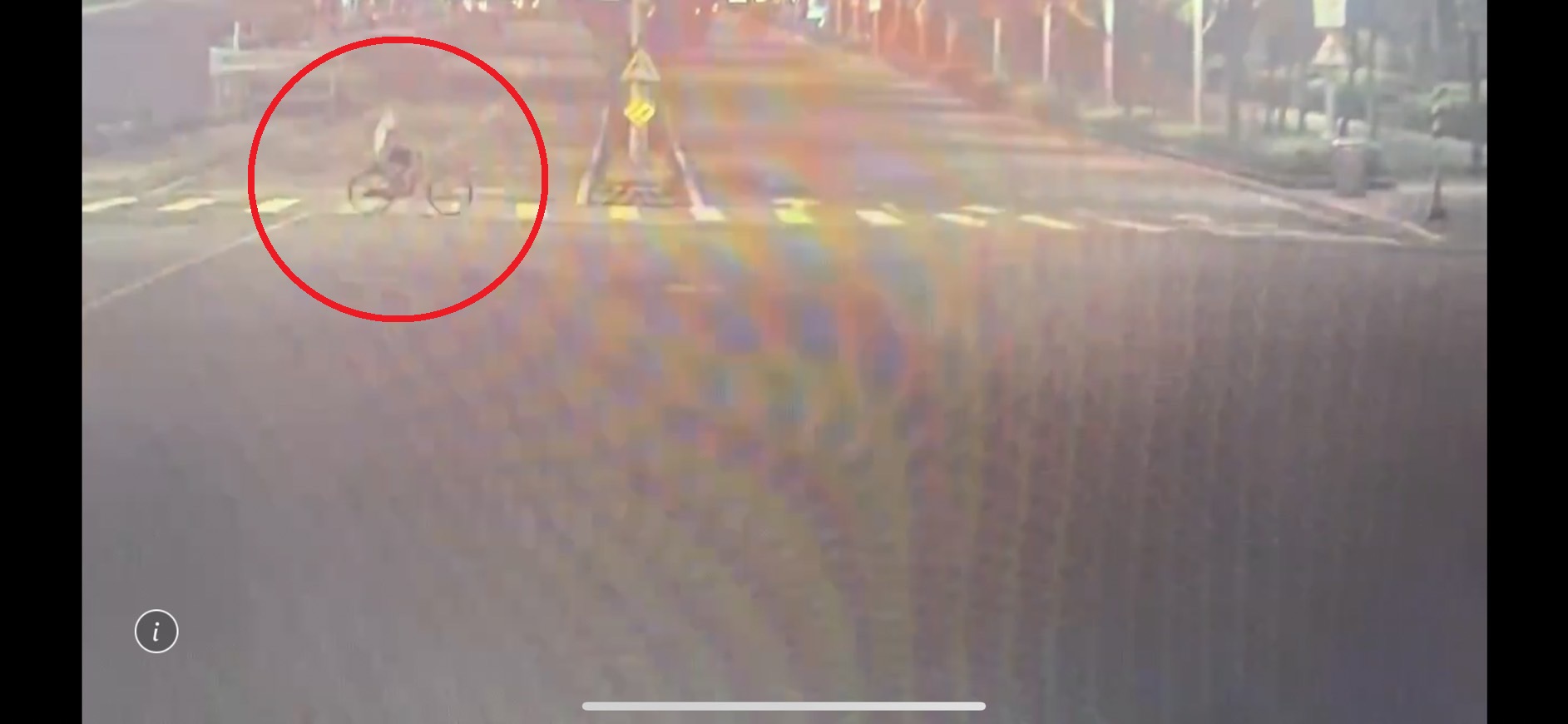 警方調閱監視器，發現蕭姓男大生騎乘單車前往大安森林公園。（翻攝畫面）