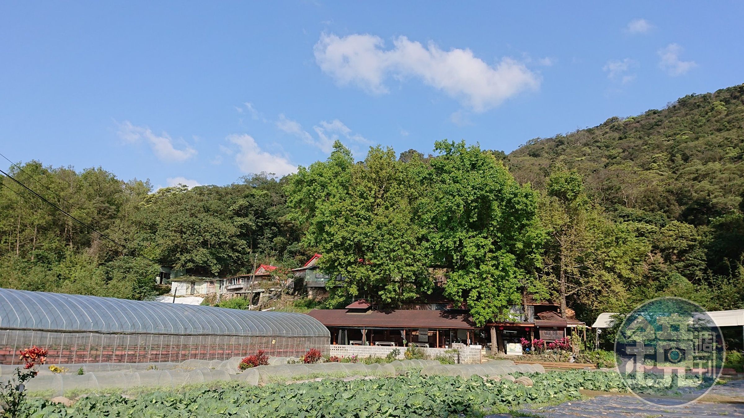 台北市內湖山區上的向日有機農場為戒毒更生安置機構，10多年來協助百名染毒者重返社會。（取自向日有機農場臉書）