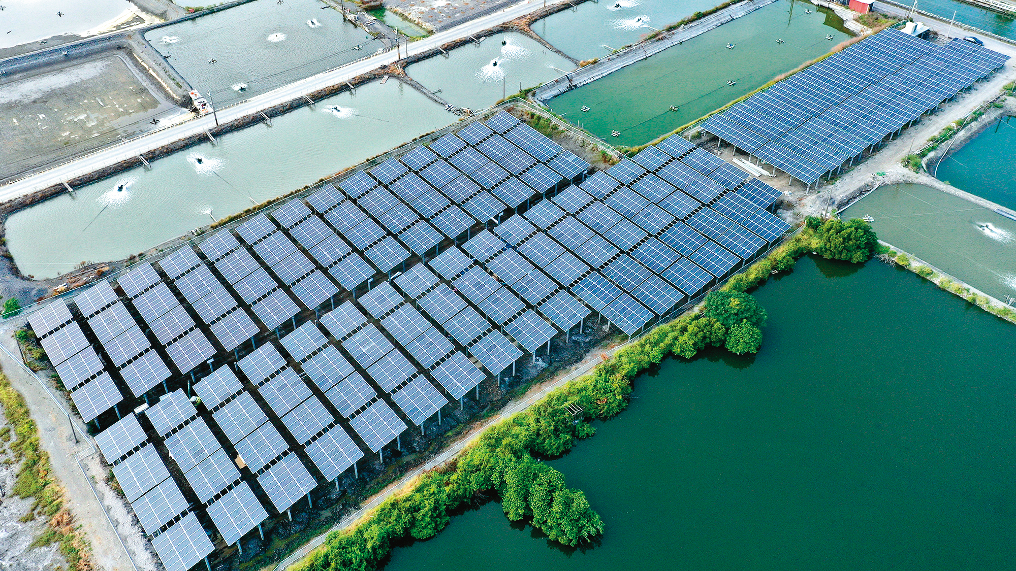 寶晶在不利耕作的地層下陷區首創大規模地面型太陽能光電案場，今年預計完成180MW併網量。（寶晶提供）