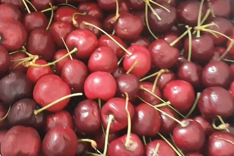 食藥署今日公布最新邊境查驗不合格名單，再增2批美國進口的新櫻桃。（食藥署提供）