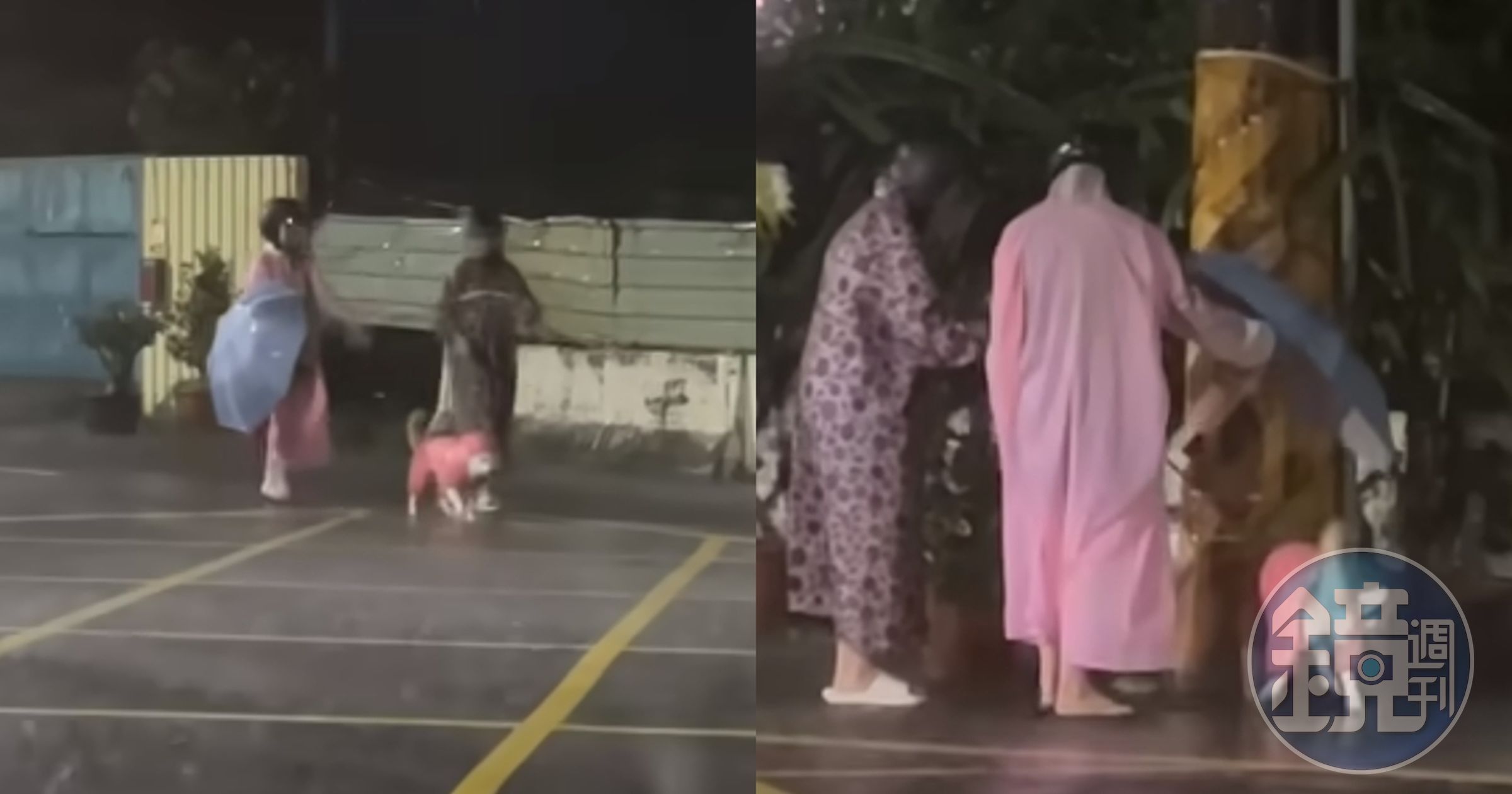 柴犬Taki在颱風天還是堅持要出門上廁所，飼主只好全副武裝捨命陪犬。（翻攝自I AM 柴犬 TAKI臉書）