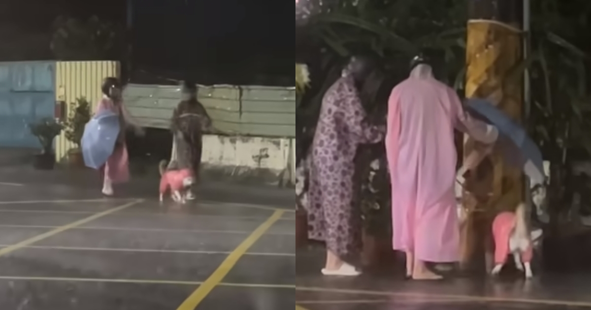 柴犬Taki在颱風天還是堅持要出門上廁所，飼主只好全副武裝捨命陪犬。（翻攝自I AM 柴犬 TAKI臉書）