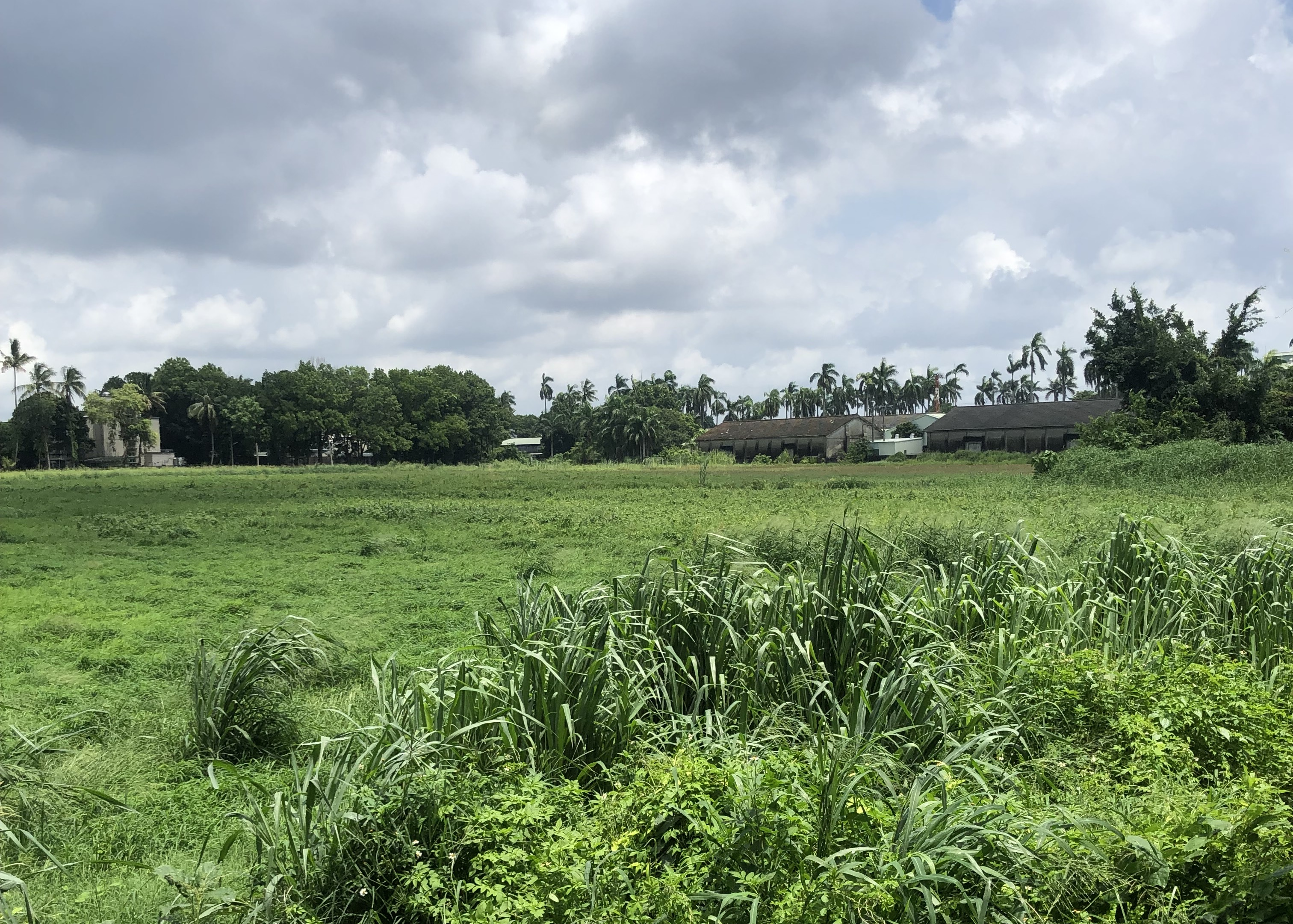 太陽光電產業永續發展協會等五大光電公協會特別強調，光電業者祈望與農民共存共融，為台灣永續而努力，絕不會損及農民權益。（太陽光電產業永續發展協會提供）