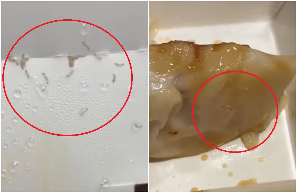 八方雲集被控鍋貼內爬滿蛆蟲。（翻攝爆料公社臉書社團）