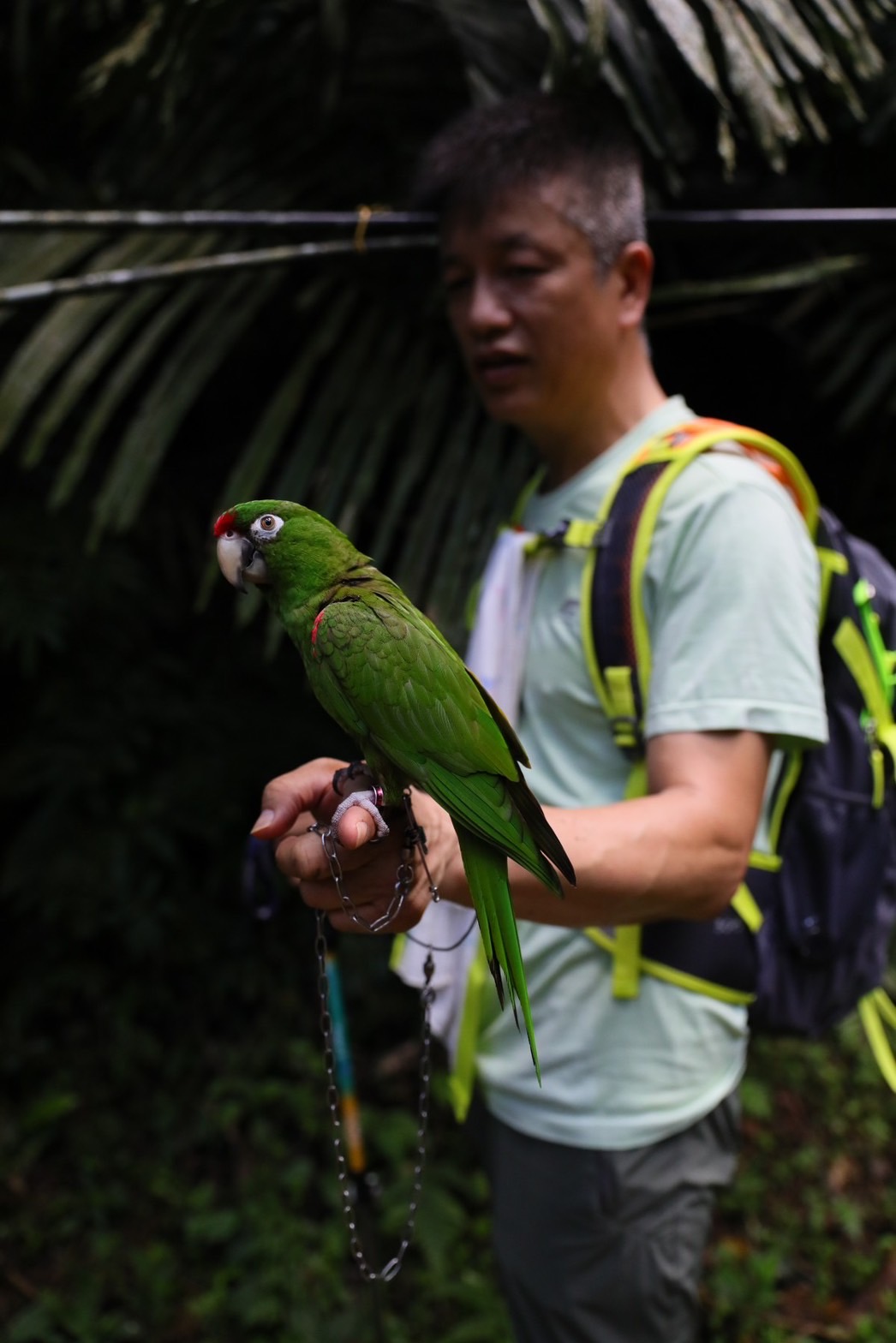 遇見帶著寵物鸚鵡的登山客，鸚鵡還熱情跟我們說早安。 