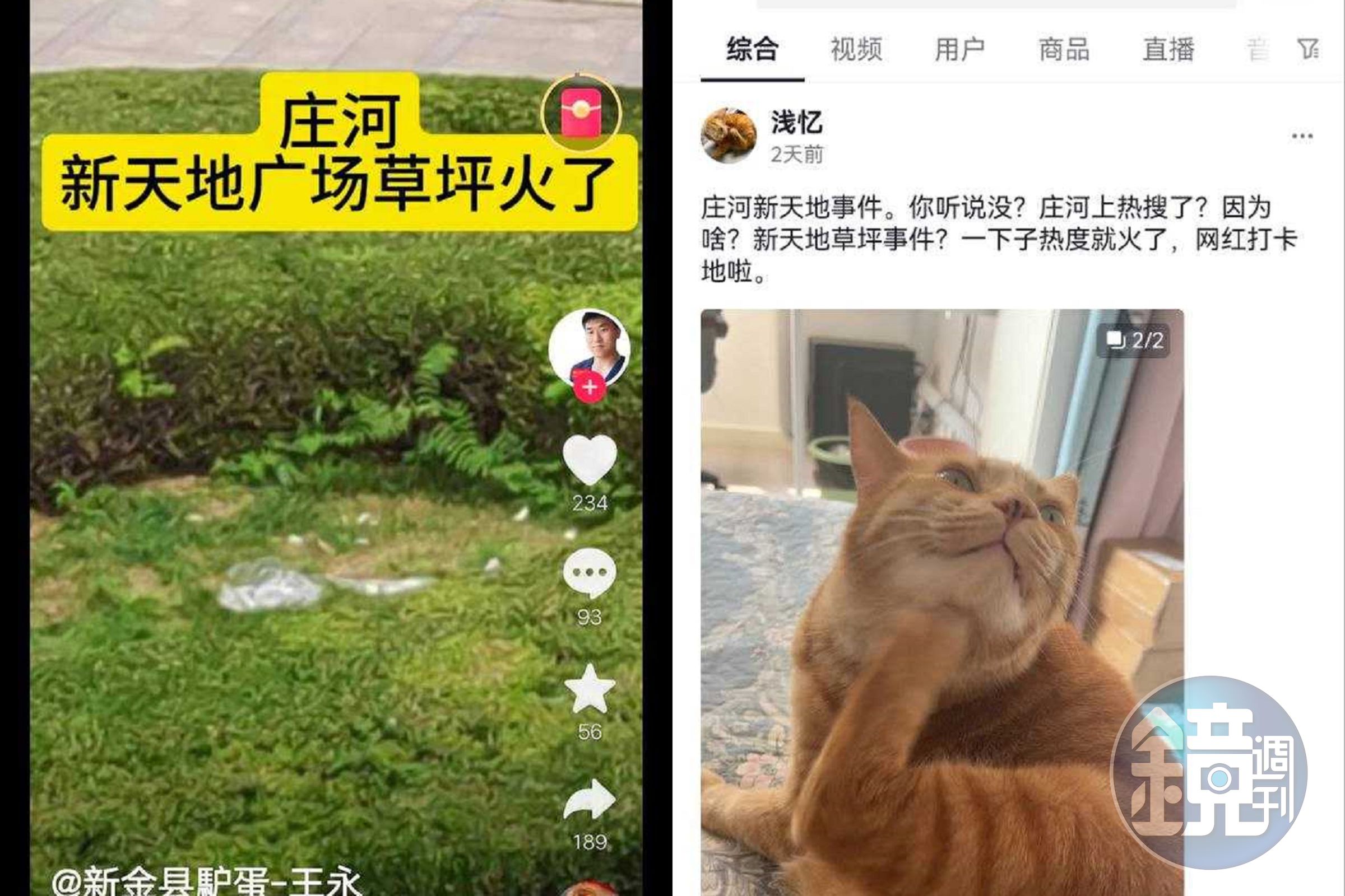 情侶「草泥馬式」野合紅了！鄉民興奮傳播，活春宮草地成打卡聖地。（翻自《黑料網》）