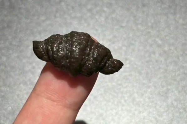 NUDAKE上海店推出超迷你「指甲」可頌，4顆售價高達20元人民幣（約新台幣87元）。（翻攝自紅星新聞）