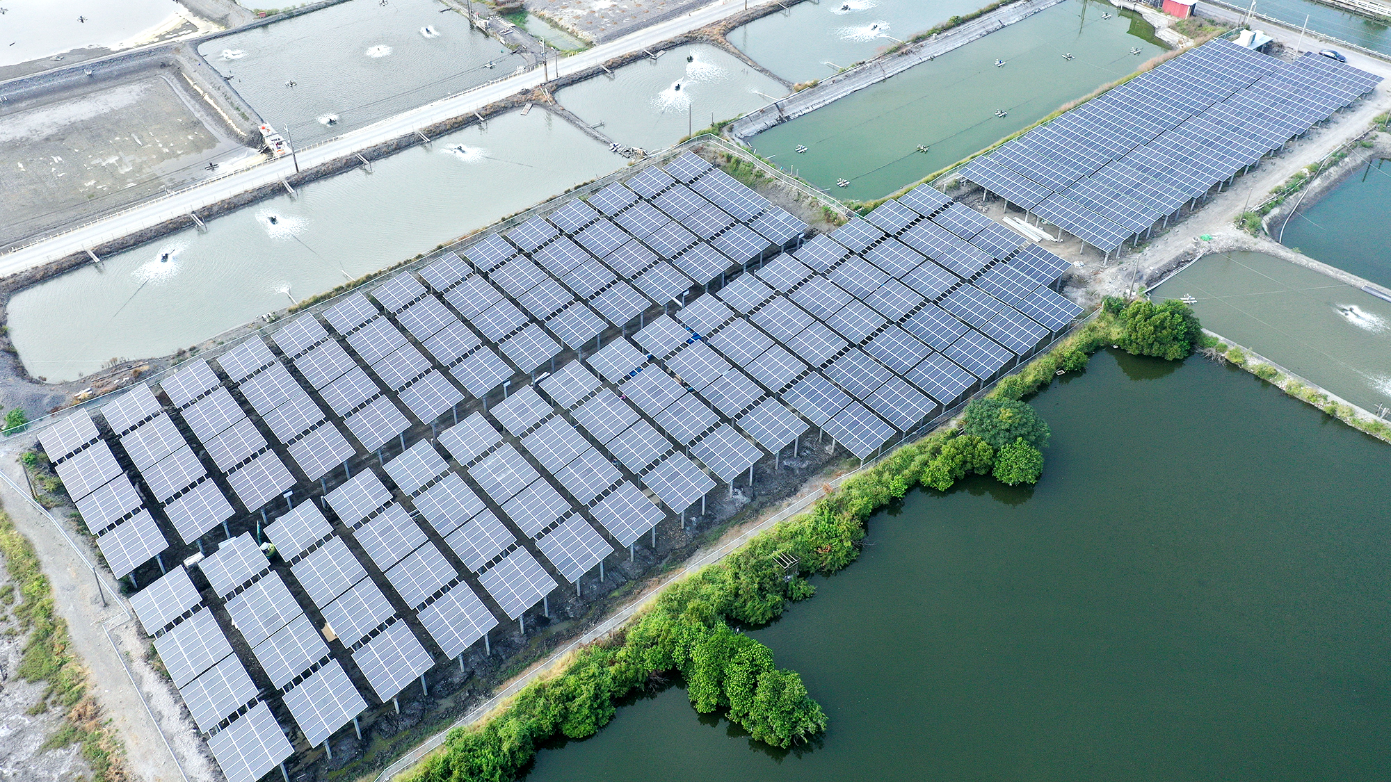 寶晶在不利耕作的地層下陷區首創大規模地面型太陽能光電案場,今年預計完成180MW併網量。(寶晶提供)