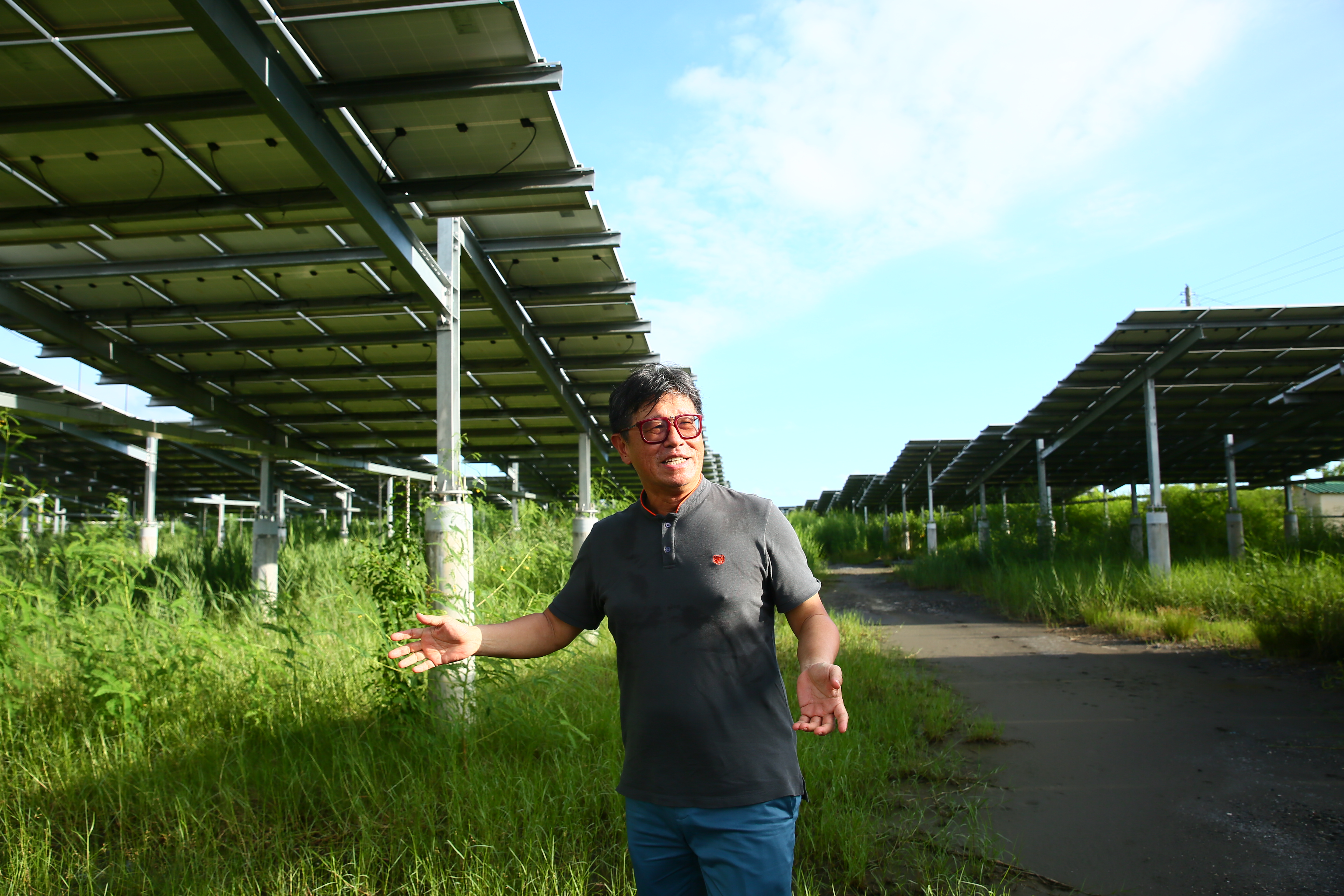 對於有傳聞指光電板下不長草,質疑會危害環境,蔡佳晉指著太陽能板底下叢生的雜草證明絕無此事。