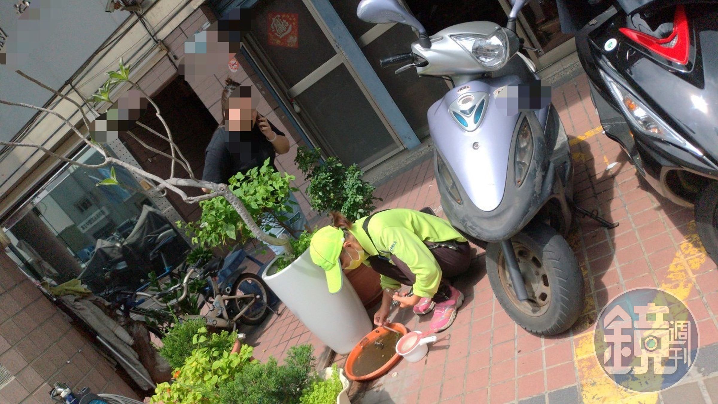 高市衛生局稽查民眾家中盆栽積水,確認有病媒蚊孑孓。(高市衛生局提供)